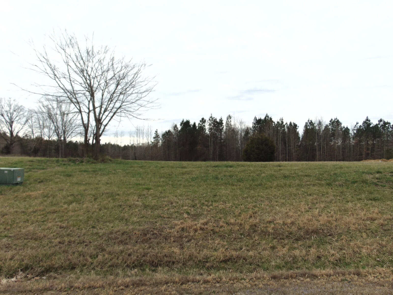 A grassy field with a leafless tree on the left and a line of dense trees in the background under an overcast sky.