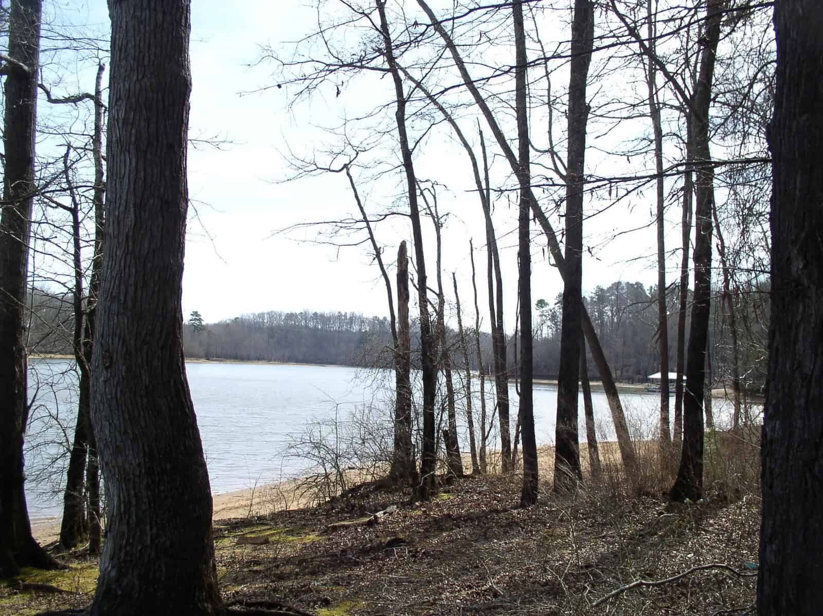 A tranquil lakeside scene with bare trees in the foreground and calm water in the background under a partly cloudy sky.