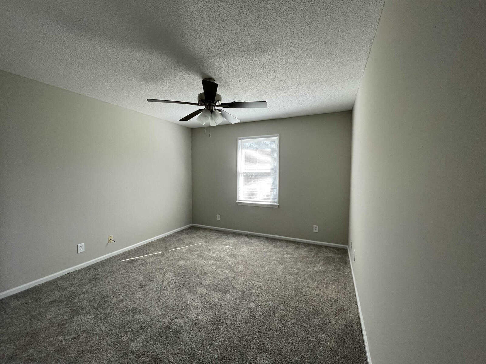 An empty room with light green walls, a window with blinds, and a carpeted floor, featuring a ceiling fan with its lights off.