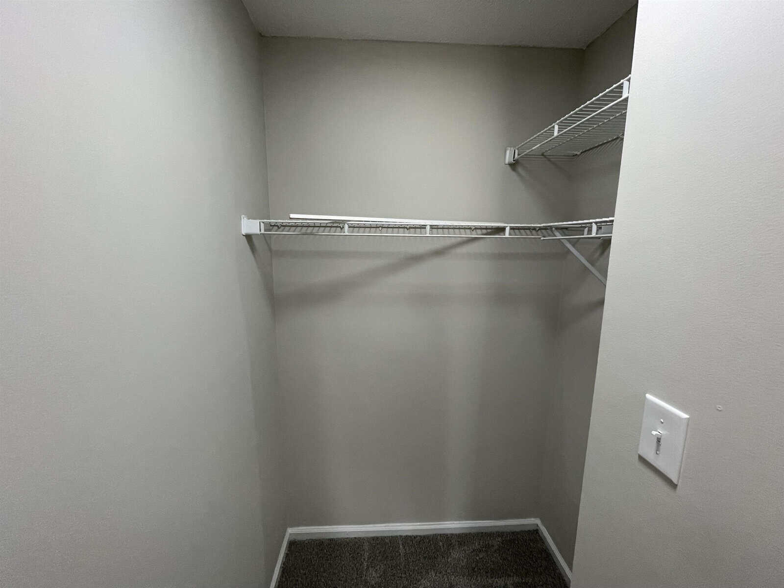 A small empty closet with a single white wire shelf installed on a gray wall, featuring carpeted flooring and a light switch on the wall to the right.