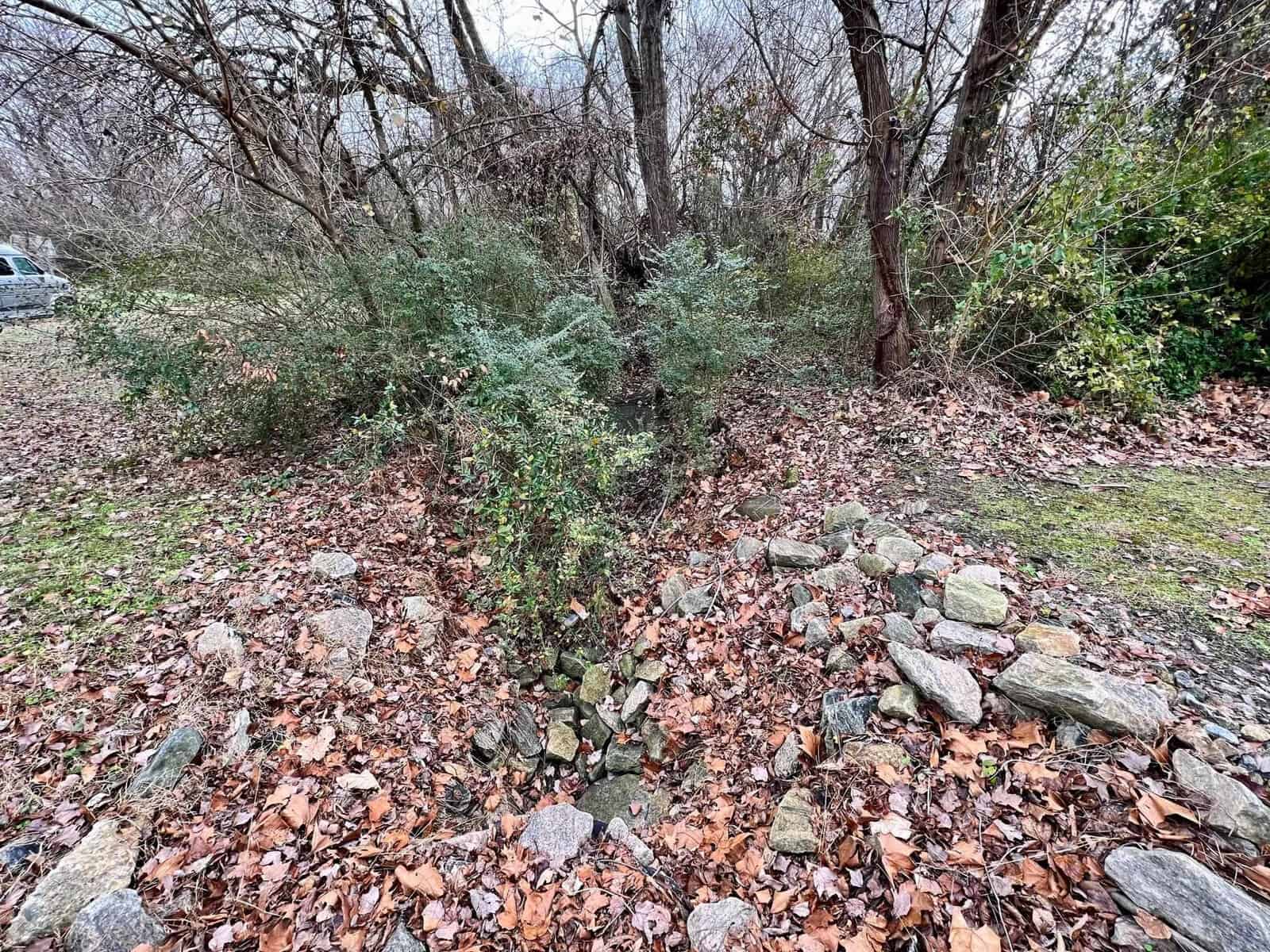 A rocky path lined with fallen leaves leads into a wooded area with scattered shrubbery and bare trees, with a parked car visible in the background.