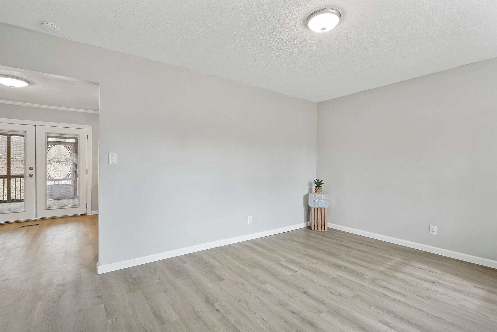 A minimalist room with light gray walls and light wood flooring. A doorway leads to an entryway with a glass-paneled front door. The room is empty except for a small wooden stand holding a decorative potted plant in the corner near the doorway.
