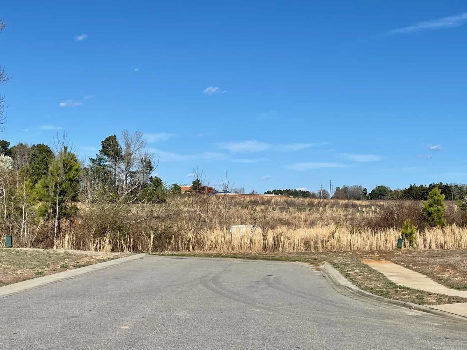 A paved road leading to a grassy clearing with dry, tall grasses, and a line of trees under a clear blue sky.