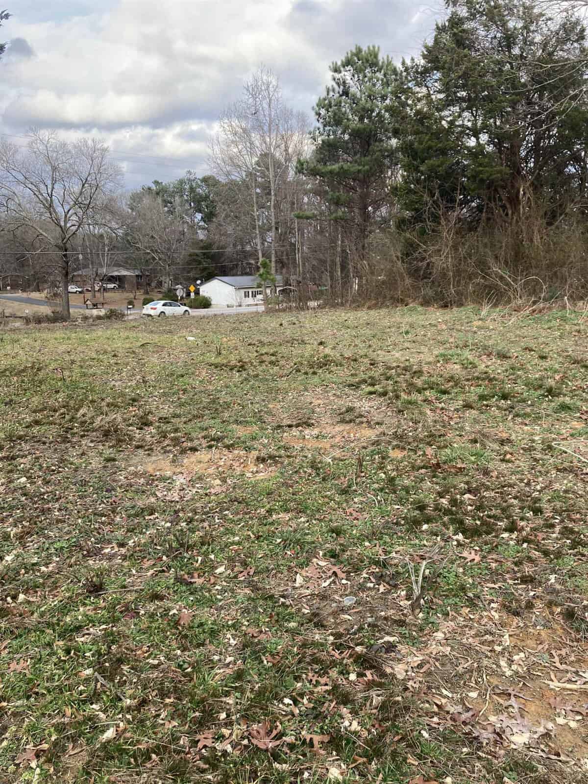 A grassy field with scattered dead leaves, with trees in the background and some houses visible in the distance under a cloudy sky.