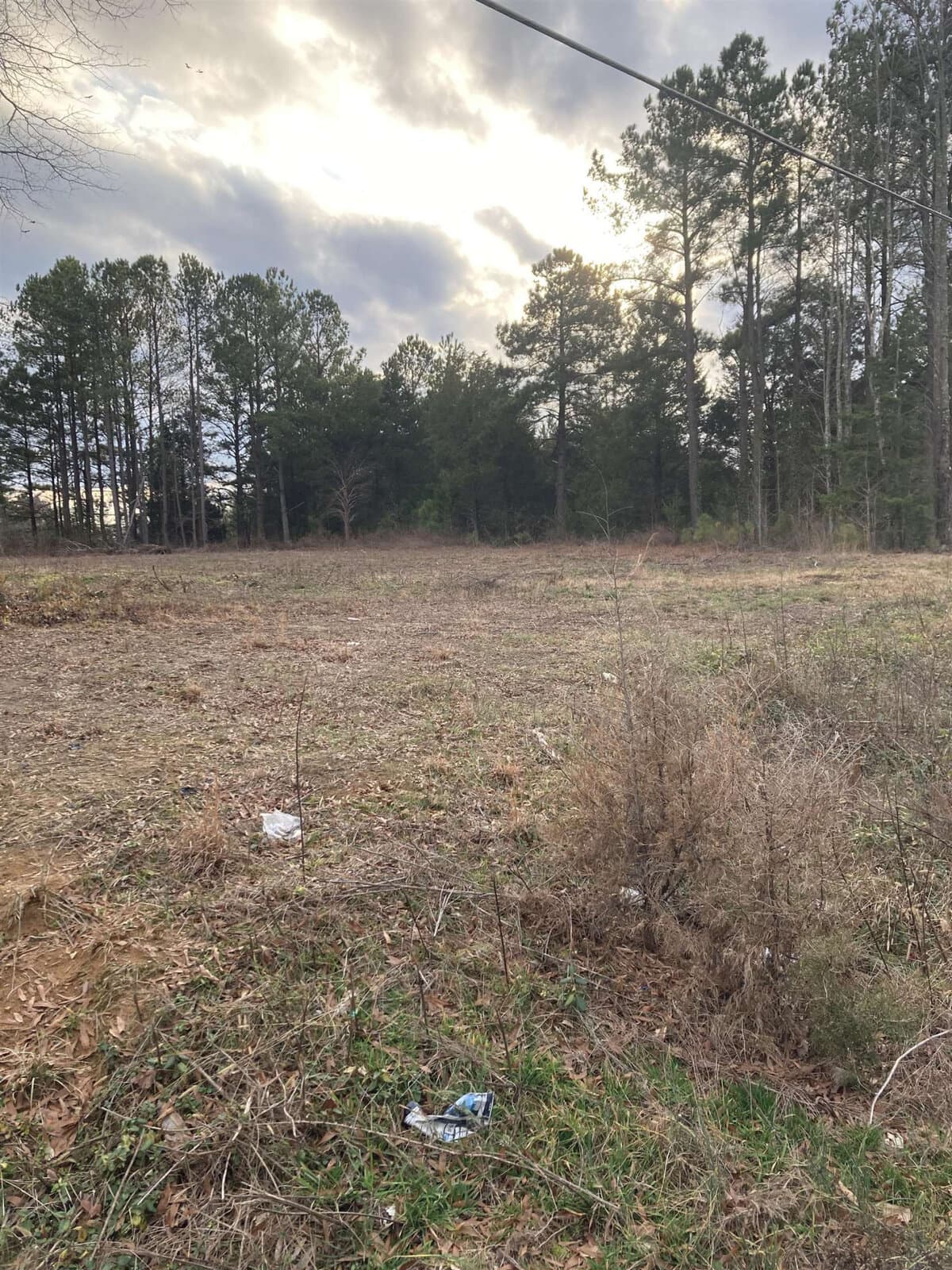An overcast sky casts soft light on a rural field with scattered trees and shrubs, with some litter visible on the ground.