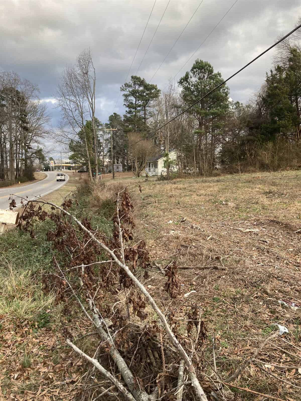 An empty roadside terrain with dry vegetation and leafless trees, with a road visible to the left and a cable stretching across the top, under an overcast sky.