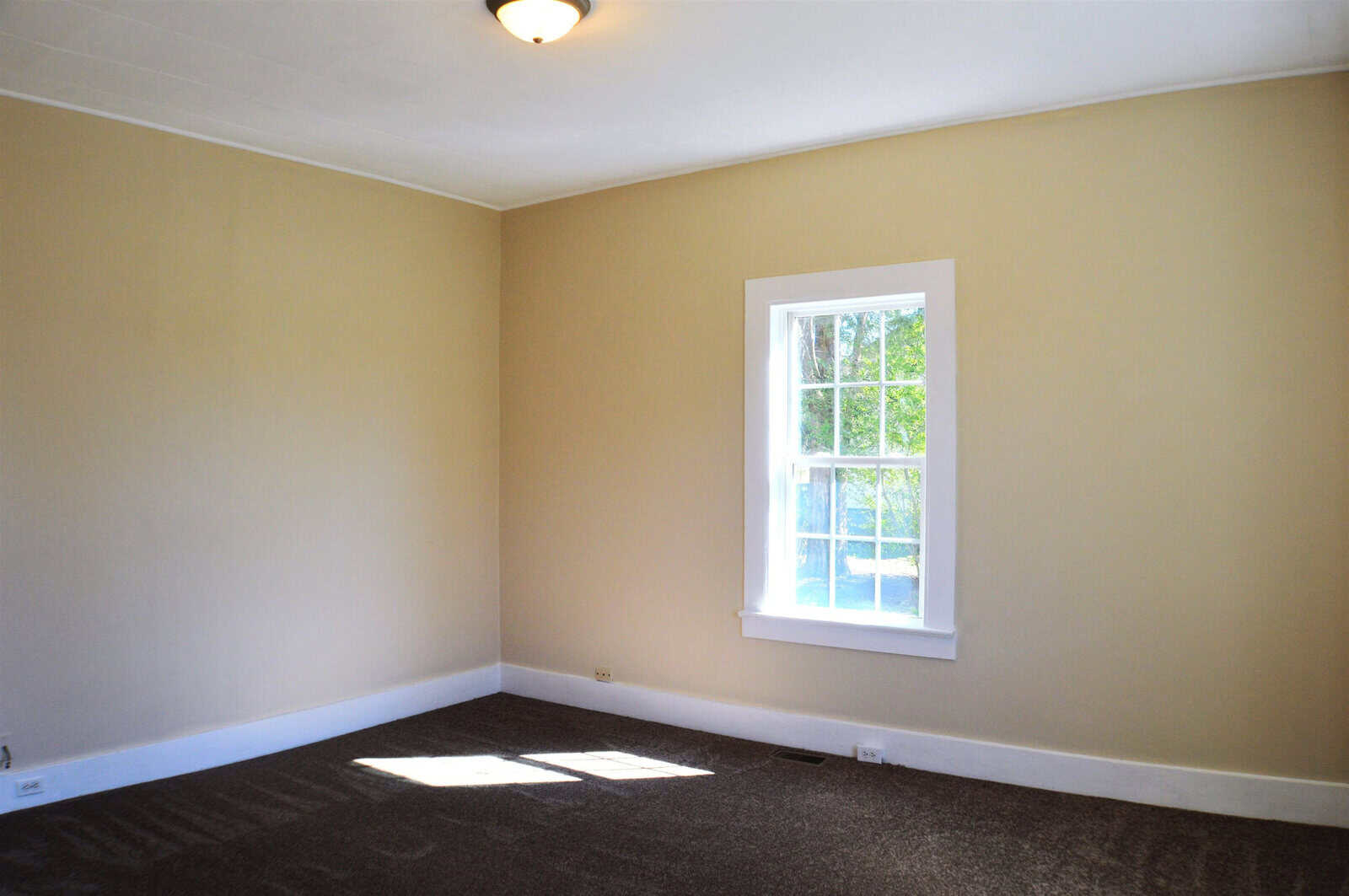 An empty room with beige walls, a single window allowing natural light, and dark brown carpeting.