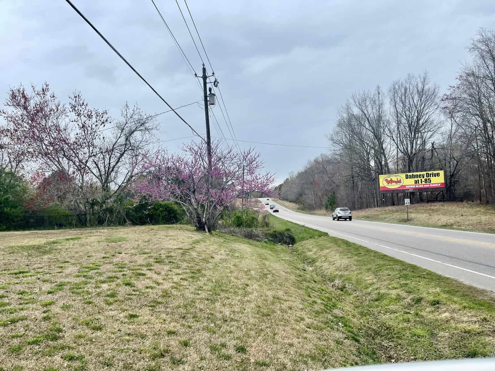 A road stretches ahead with vehicles and a billboard on the right side, flanked by flowering trees and grassy verges under a cloudy sky.