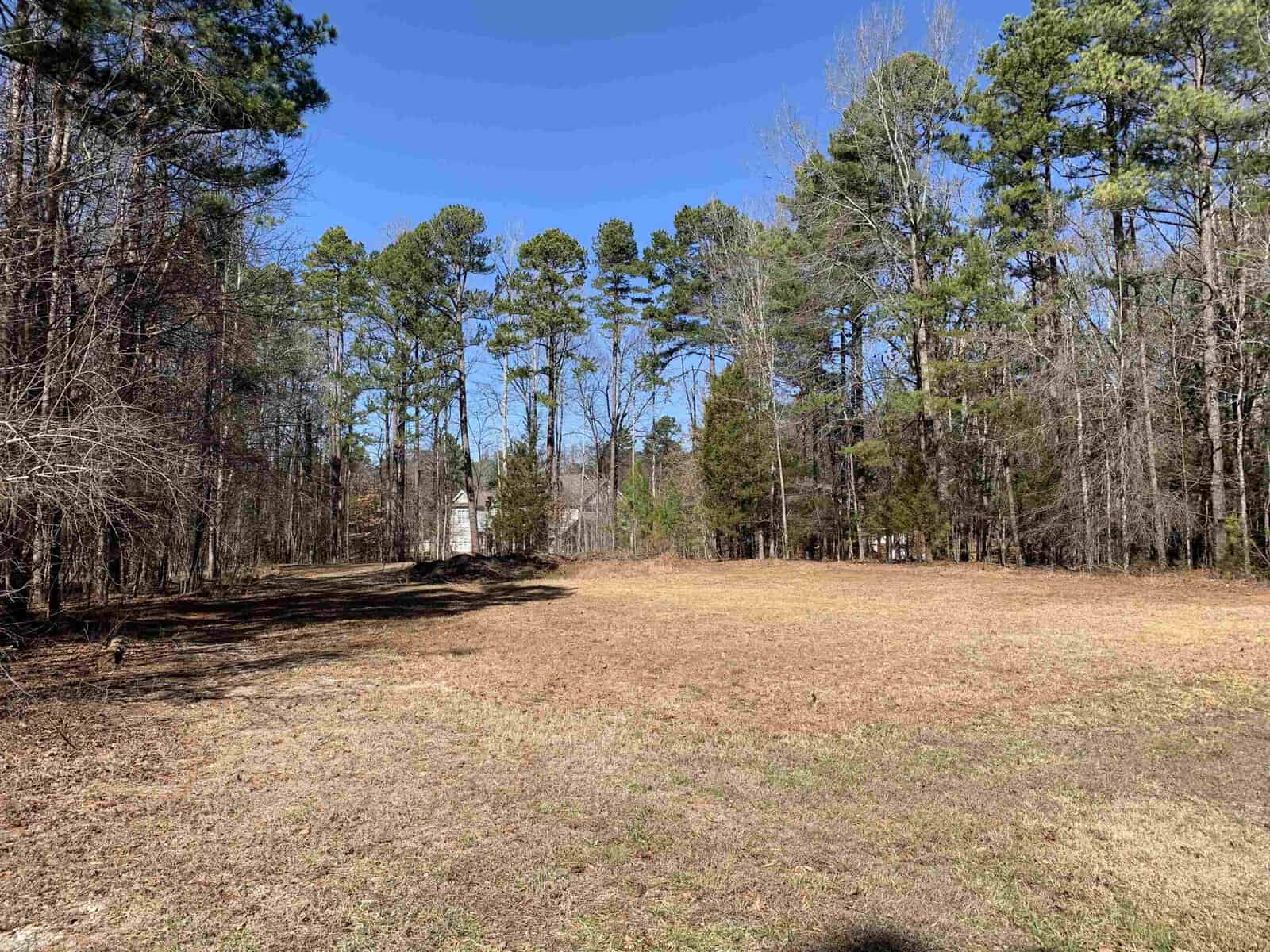 A clear, sunny day over an open field surrounded by tall pine trees with a house in the background.