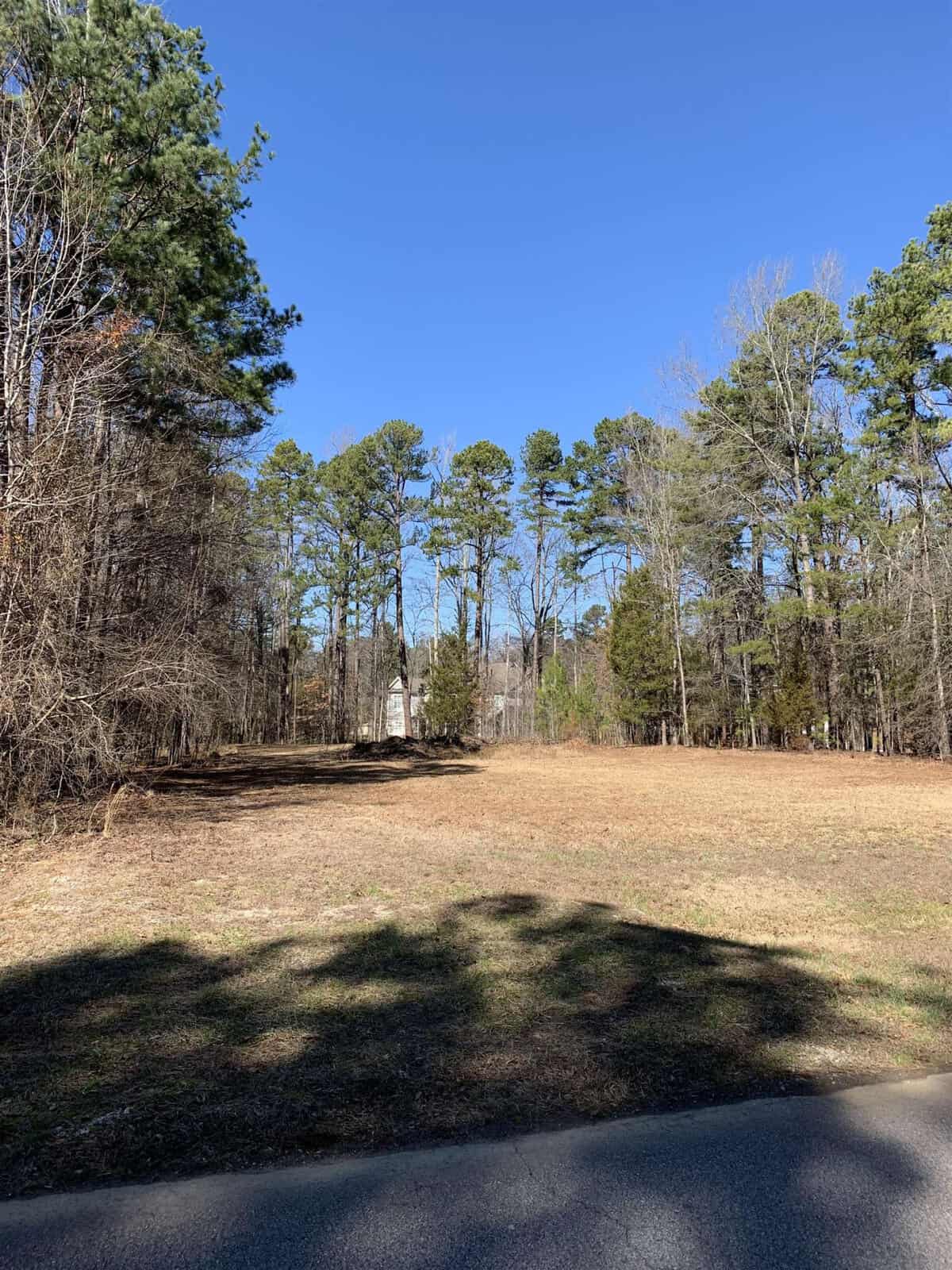 A clear day with a view of a grassy clearing surrounded by tall trees, casting shadows on the ground near the edge of a paved road.