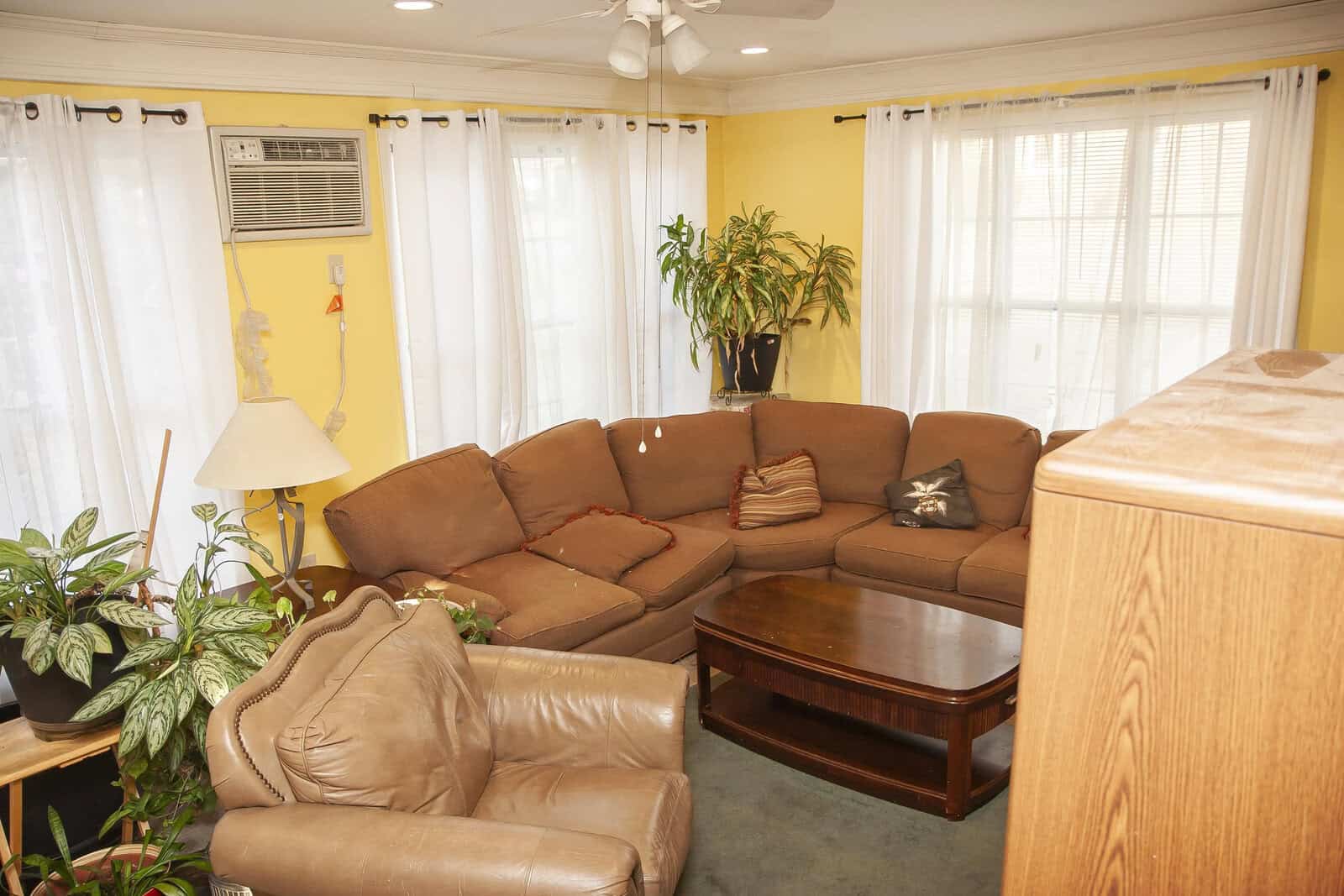 A warmly lit living room featuring a sectional brown sofa, a variety of houseplants, a coffee table, and a floor lamp, with curtains drawn back to reveal a window air conditioning unit.