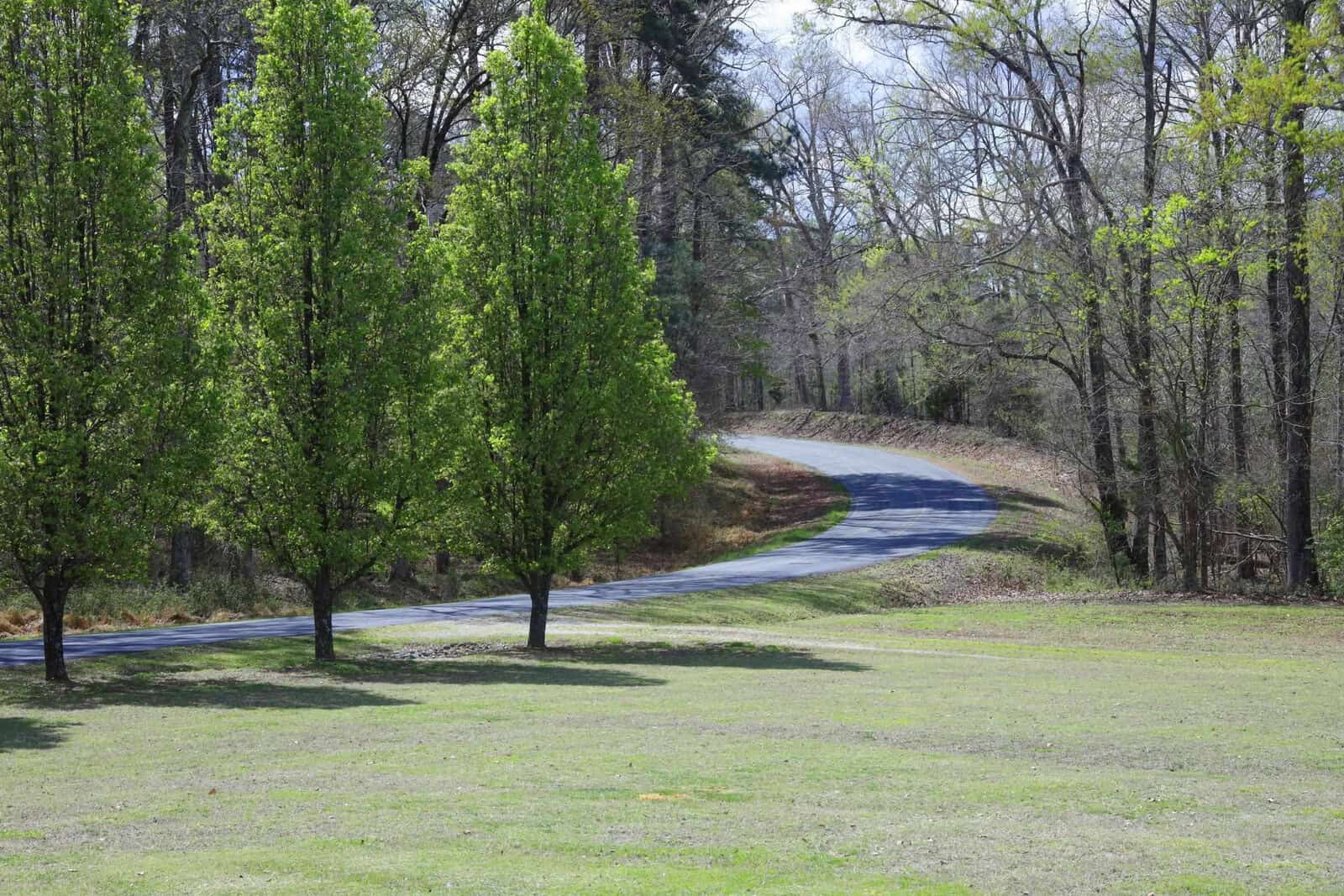 A winding road passes through a tranquil park with lush green trees and grass under a clear sky.