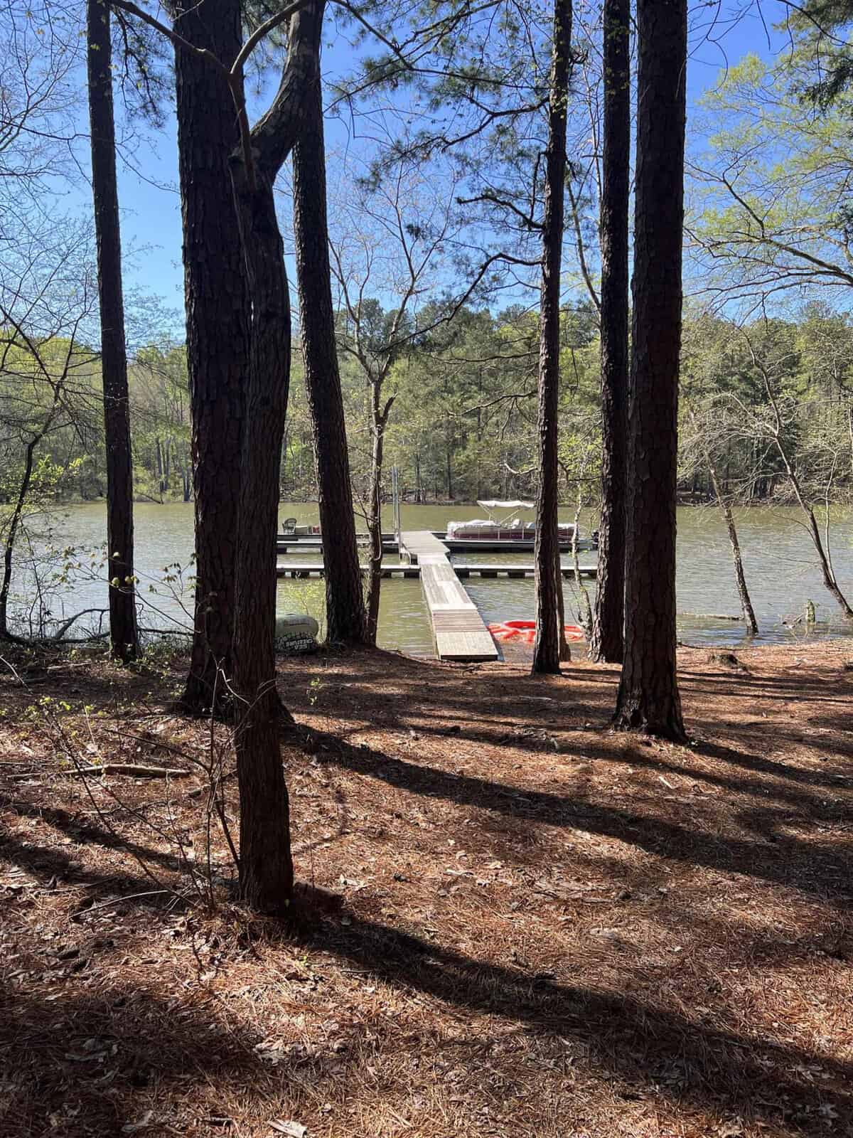 A tranquil lakeside setting with tall pine trees in the foreground and a wooden dock extending into the water, with a boat moored alongside.
