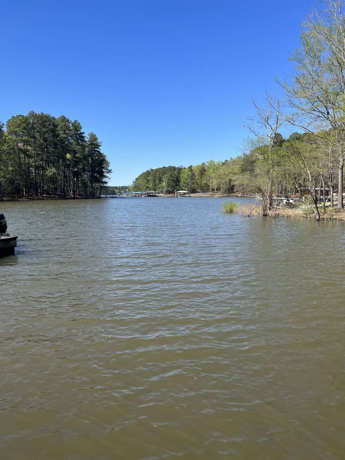 A tranquil lake surrounded by trees under a clear blue sky.