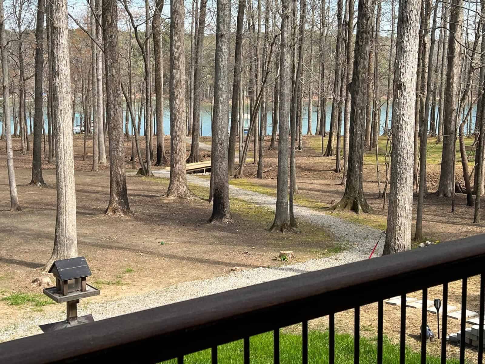 A tranquil woodland scene with slender trees in the foreground and a calm lake visible between the trunks, viewed from behind a railing that may be part of a deck or balcony, with a small metal object on the left suggestive of a bird feeder.