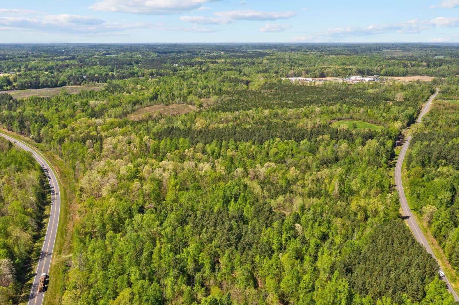 Aerial view of a lush, green forest with two winding roads on either side. The sky is clear with scattered clouds, creating a serene, expansive landscape.