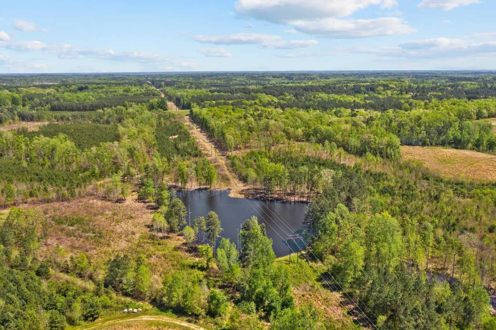 Aerial view of a lush, green forest landscape with a winding power line path cutting through. A small, tranquil pond is surrounded by trees under a partly cloudy sky.