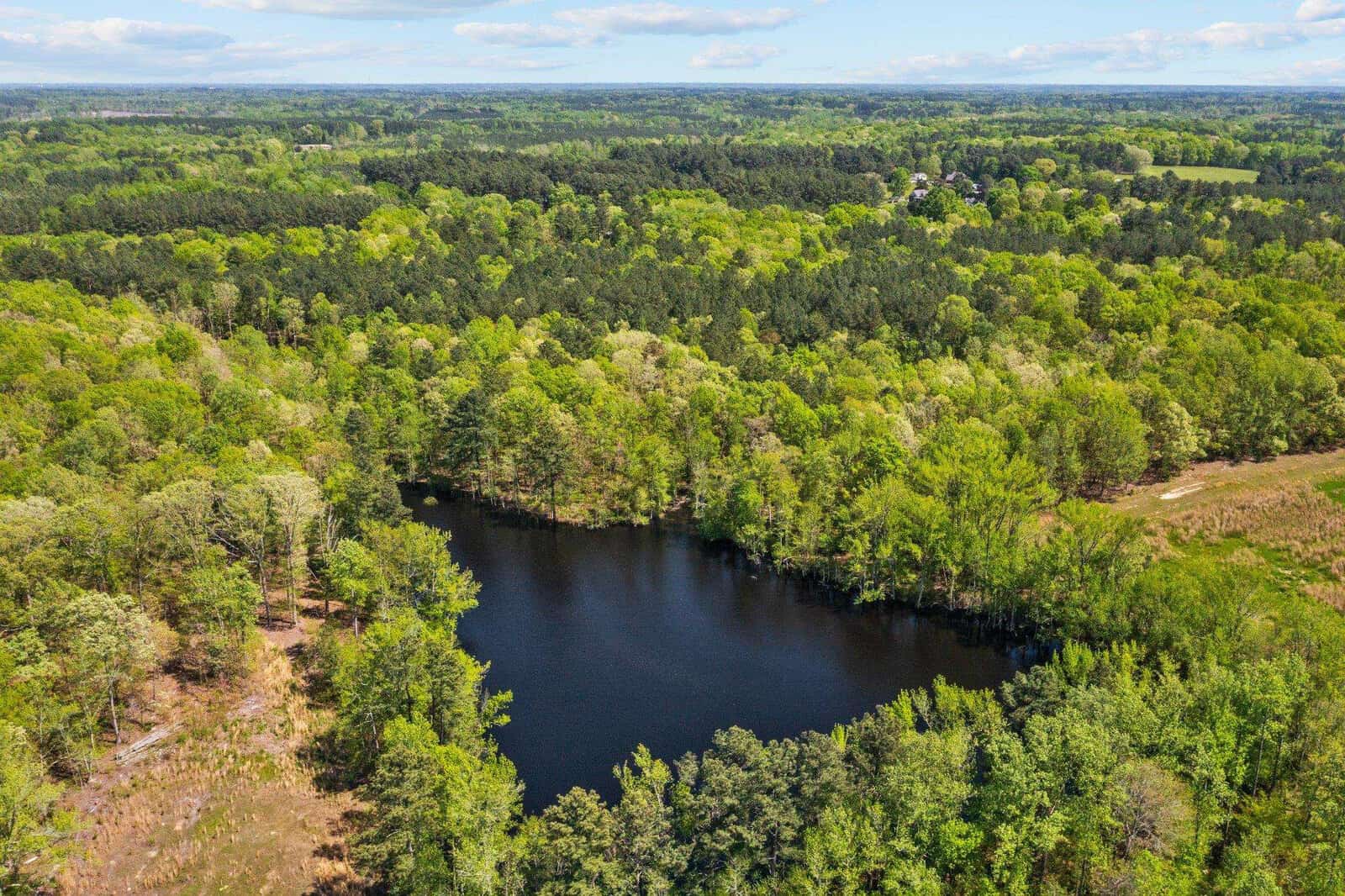 Aerial view of a lush green forest surrounding a small, dark blue lake. The landscape extends to the horizon under a partly cloudy sky, creating a serene and natural scene.