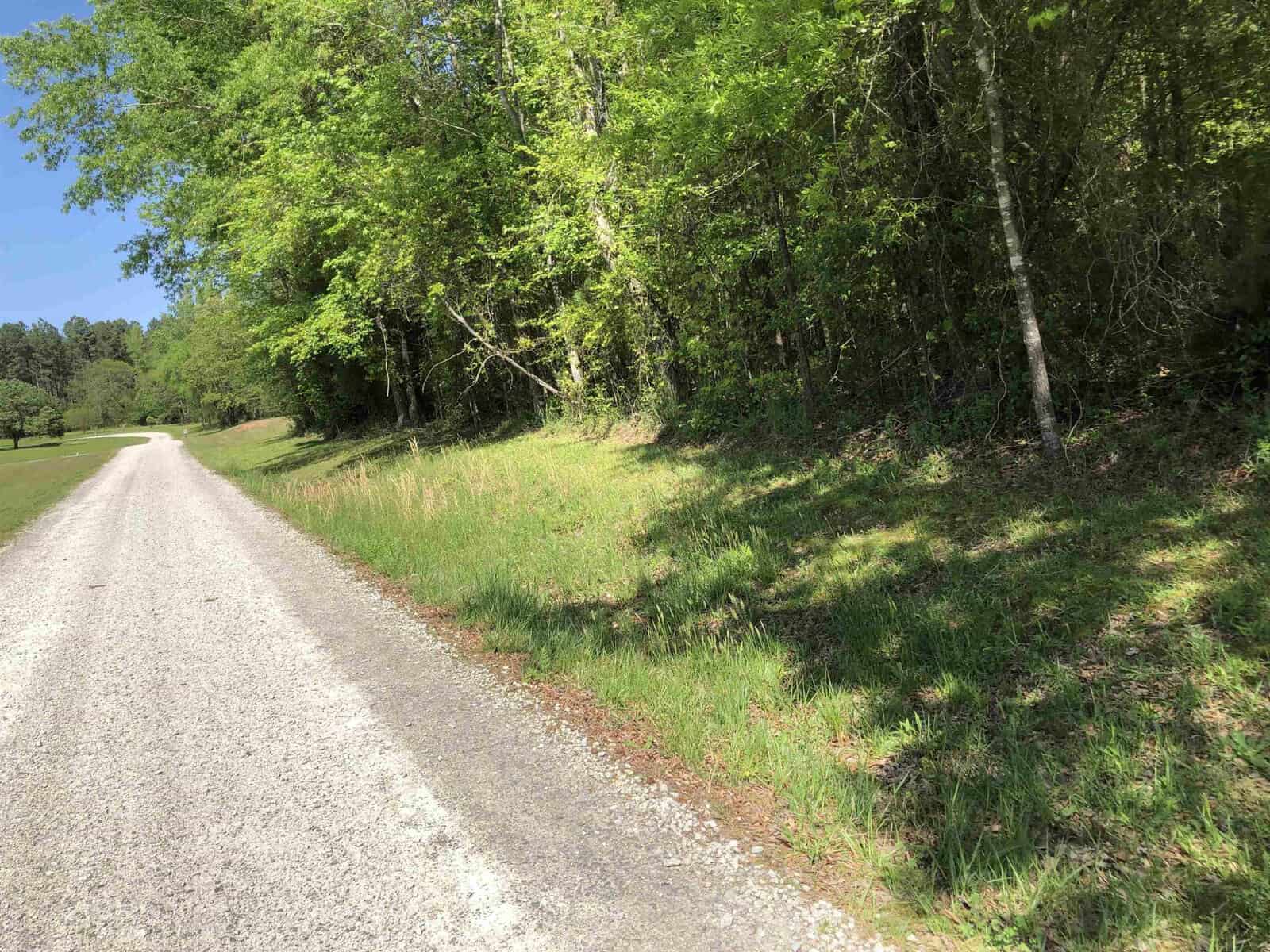 A quiet country road at 00 Leisure Lane, Henderson NC, flanked by tall green trees on one side and a neatly trimmed grass verge on the other, with clear blue skies overhead.