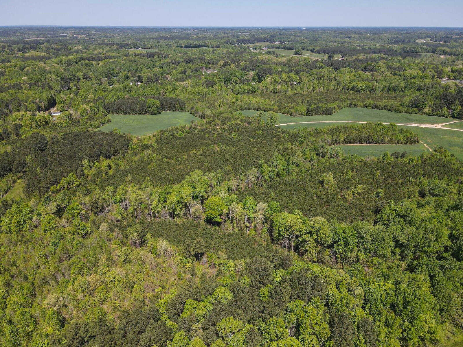 Aerial view of a lush, green landscape with a mixture of forested areas and open fields.