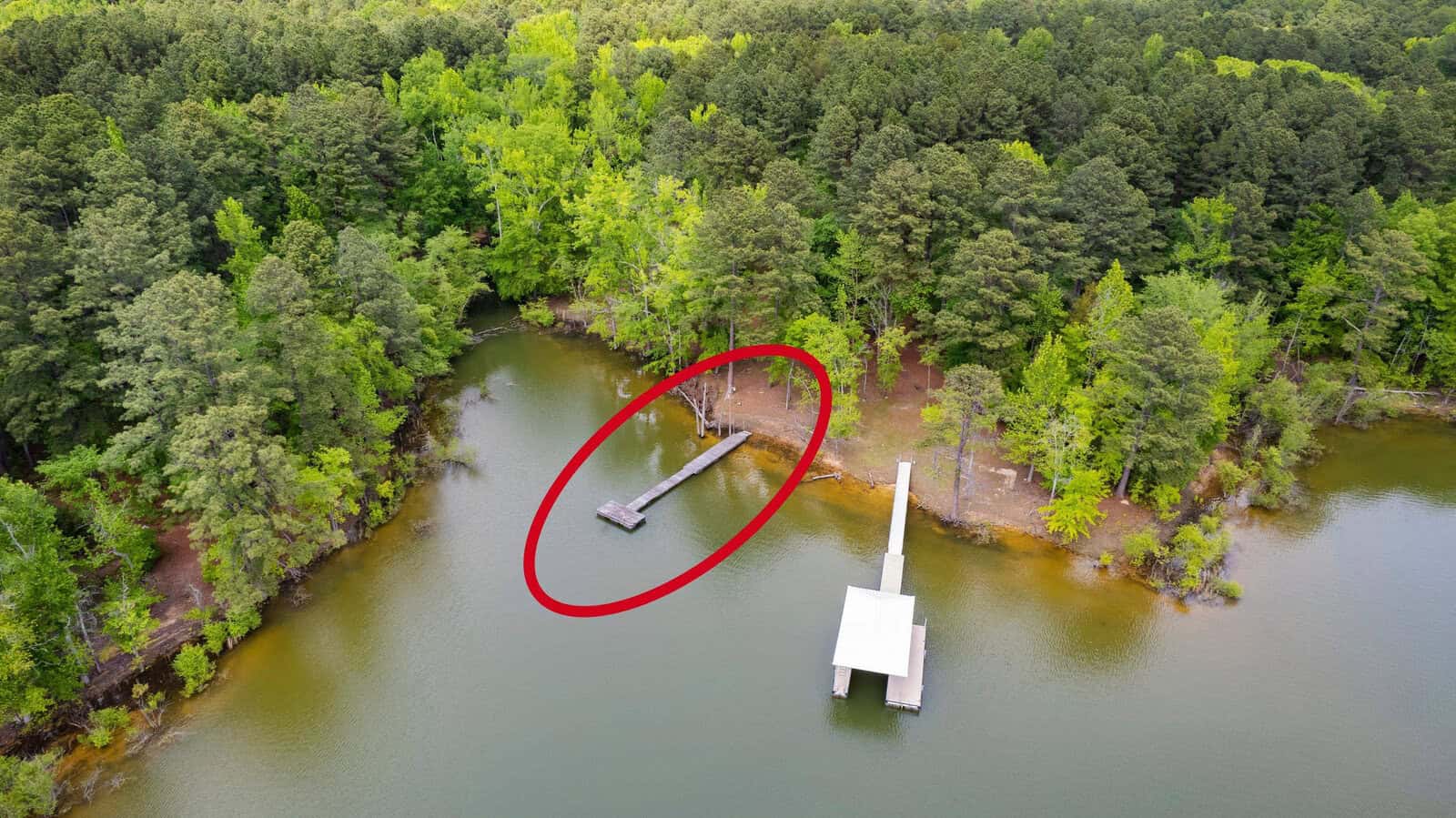 Aerial view of a forested lakeshore with a dock extending into the water, surrounded by trees. A red circle highlights a floating platform attached to the dock near the shore.