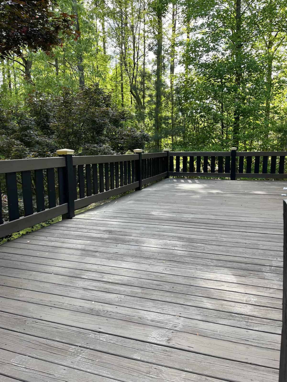 A wooden deck surrounded by lush greenery and trees bathed in sunlight.