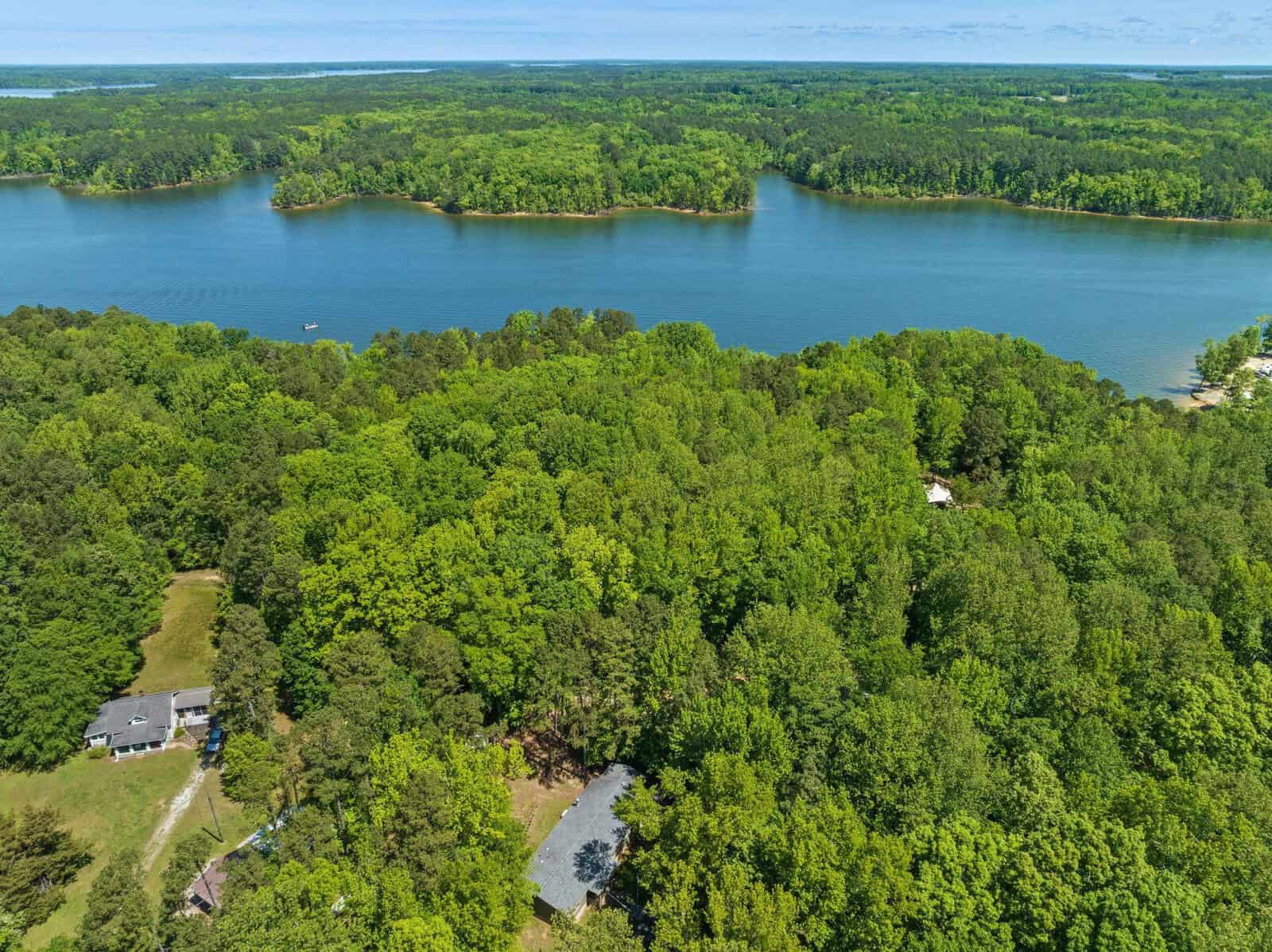 Aerial view of a lush green landscape with a large body of water surrounded by dense trees, and a few scattered buildings near a winding road.