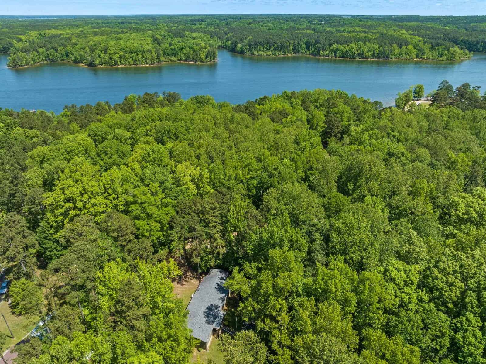 Aerial view of a dense green forest with a body of water in the background and a small clearing featuring a road or path in the foreground.
