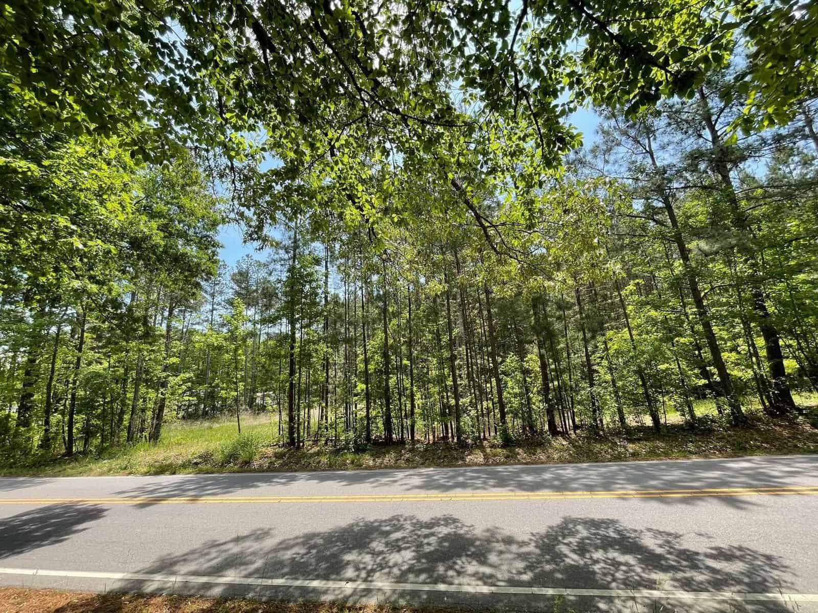 A sunny day view of the quiet 1363 Bullocksville Park Road, lined with lush, green trees. Sunlight filters through the leaves, casting shadows on the road in Manson. The scene conveys a tranquil and natural setting.