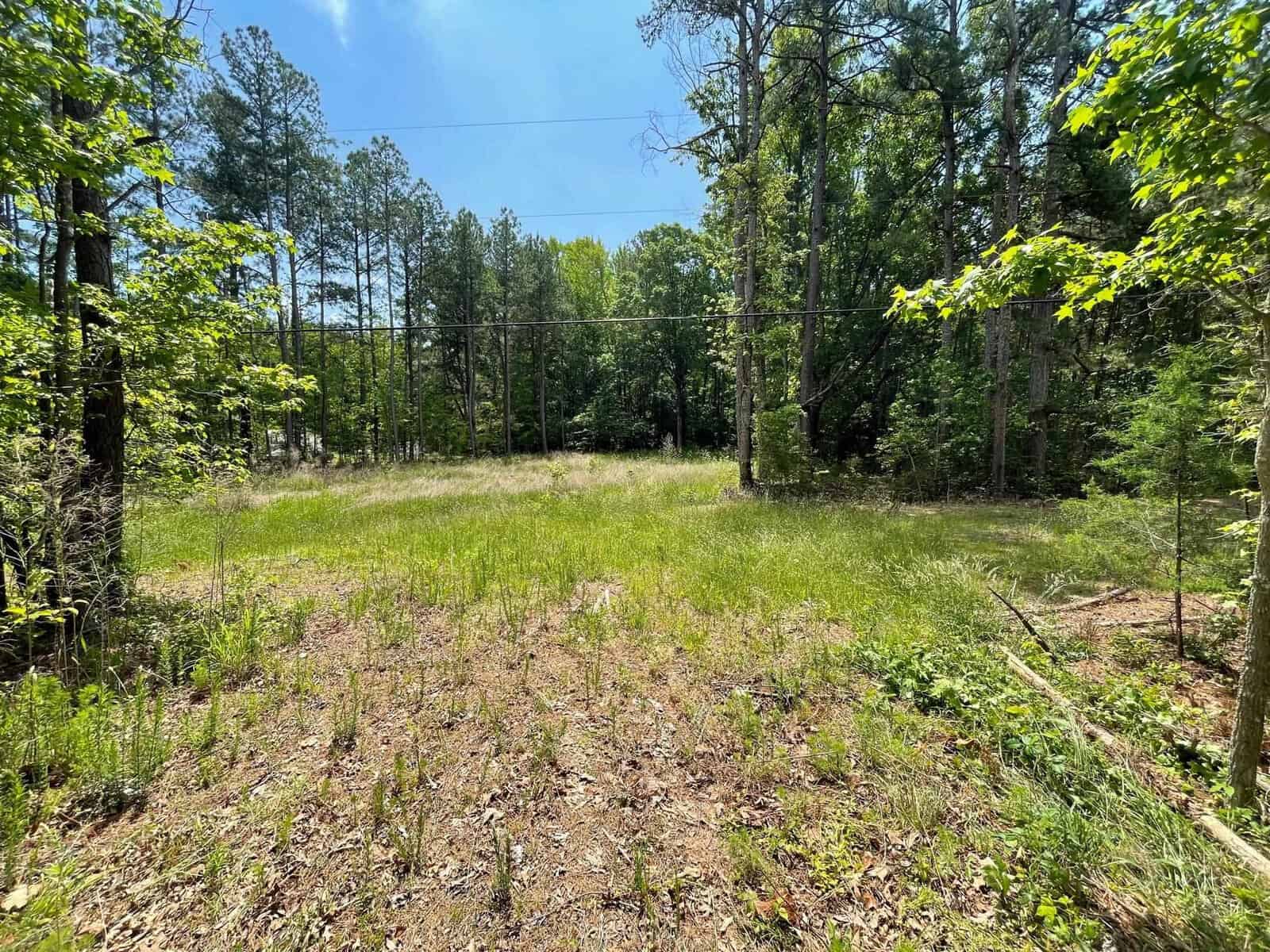 A grassy clearing surrounded by tall trees under a clear blue sky. Sunlight filters through the leaves, casting shadows on the ground. Power lines run horizontally across the scene. The area appears calm and serene.