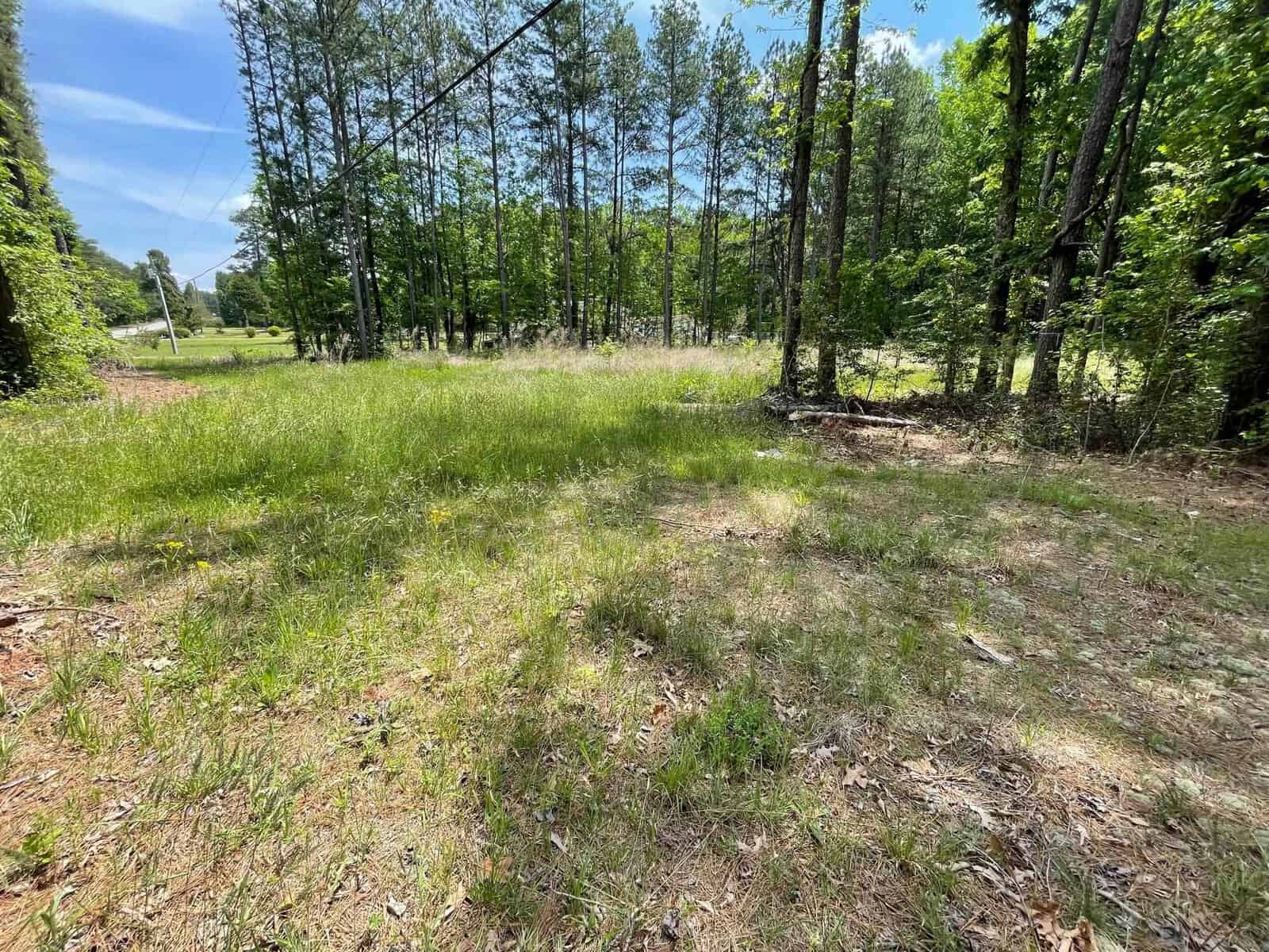 A lush, green grassy clearing surrounded by tall trees under a clear blue sky. Sunlight filters through, casting shadows on the grass. A power line is visible on the left, and a small dirt patch is in the foreground.