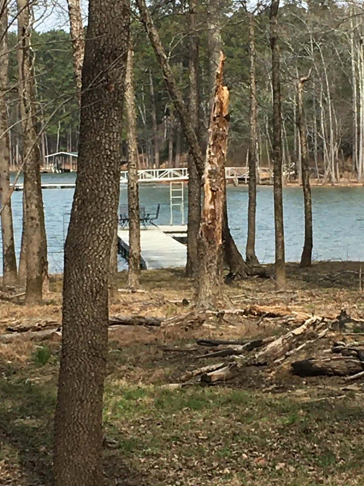 A peaceful lakeside scene at 50 S Piney Grove Road in Manson features a wooden dock stretching into a calm lake, surrounded by bare trees. Nearby, a fallen log and some branches rest on the ground under a clear sky.