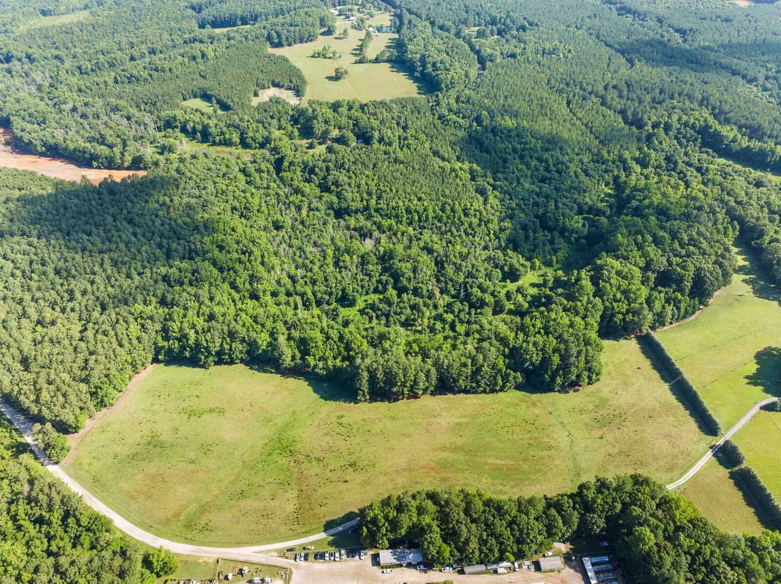 Aerial view of a rural landscape with dense green forest, open grassy fields, winding roads, and scattered buildings under bright sunlight.