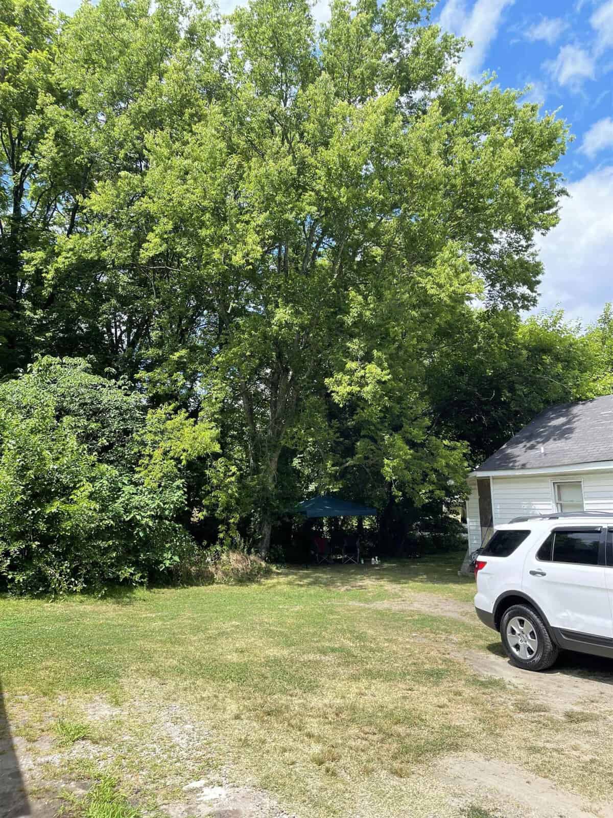 A residential outdoor scene with a white suv parked on the left, a small white garage on the right, and lush green trees in the background under a partly cloudy sky.