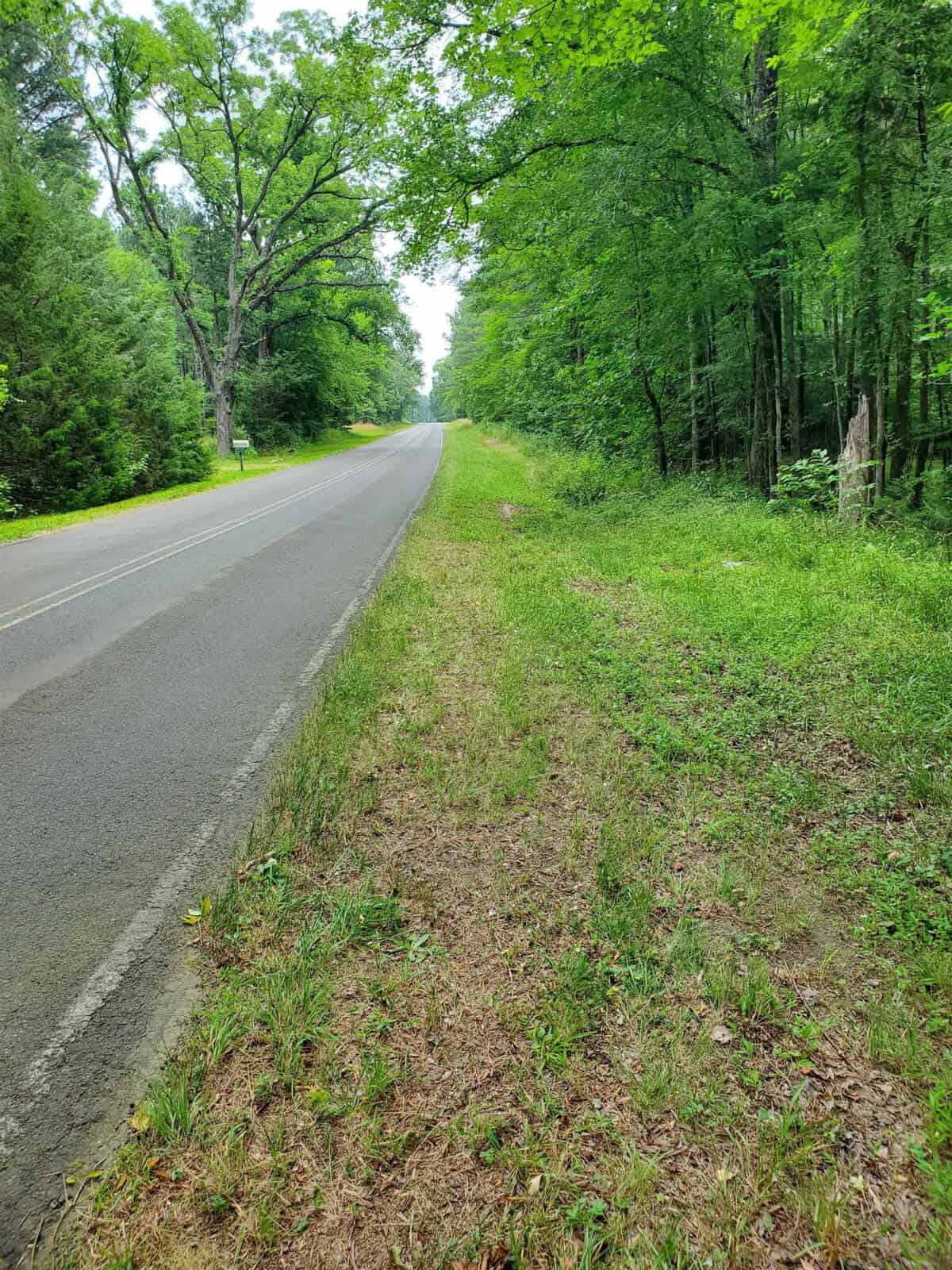 A winding rural road bordered by lush green trees and underbrush under an overcast sky.