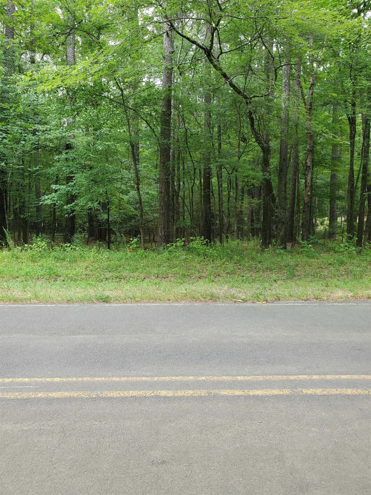 A paved road with a double yellow line running down the center, alongside a dense green forest under an overcast sky.