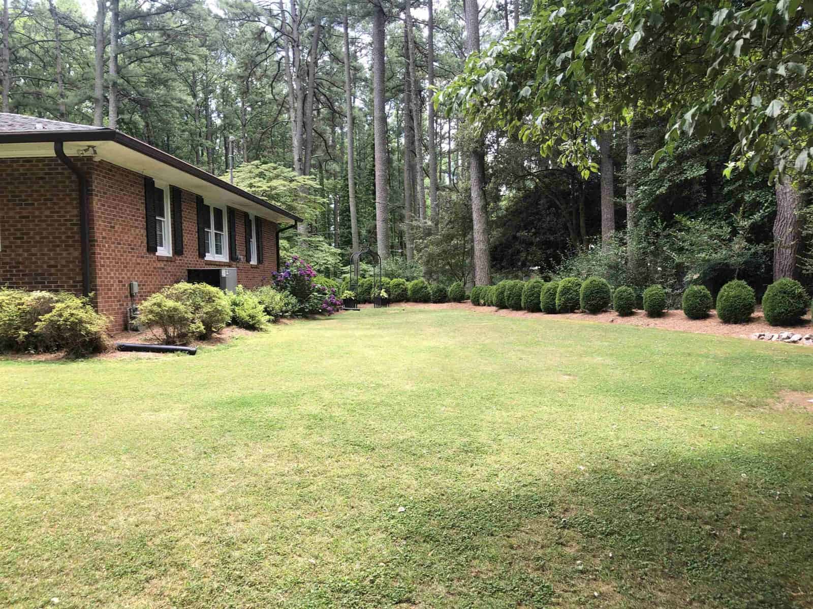 A well-maintained lawn in front of a single-story brick house with neatly trimmed bushes and a backdrop of trees.