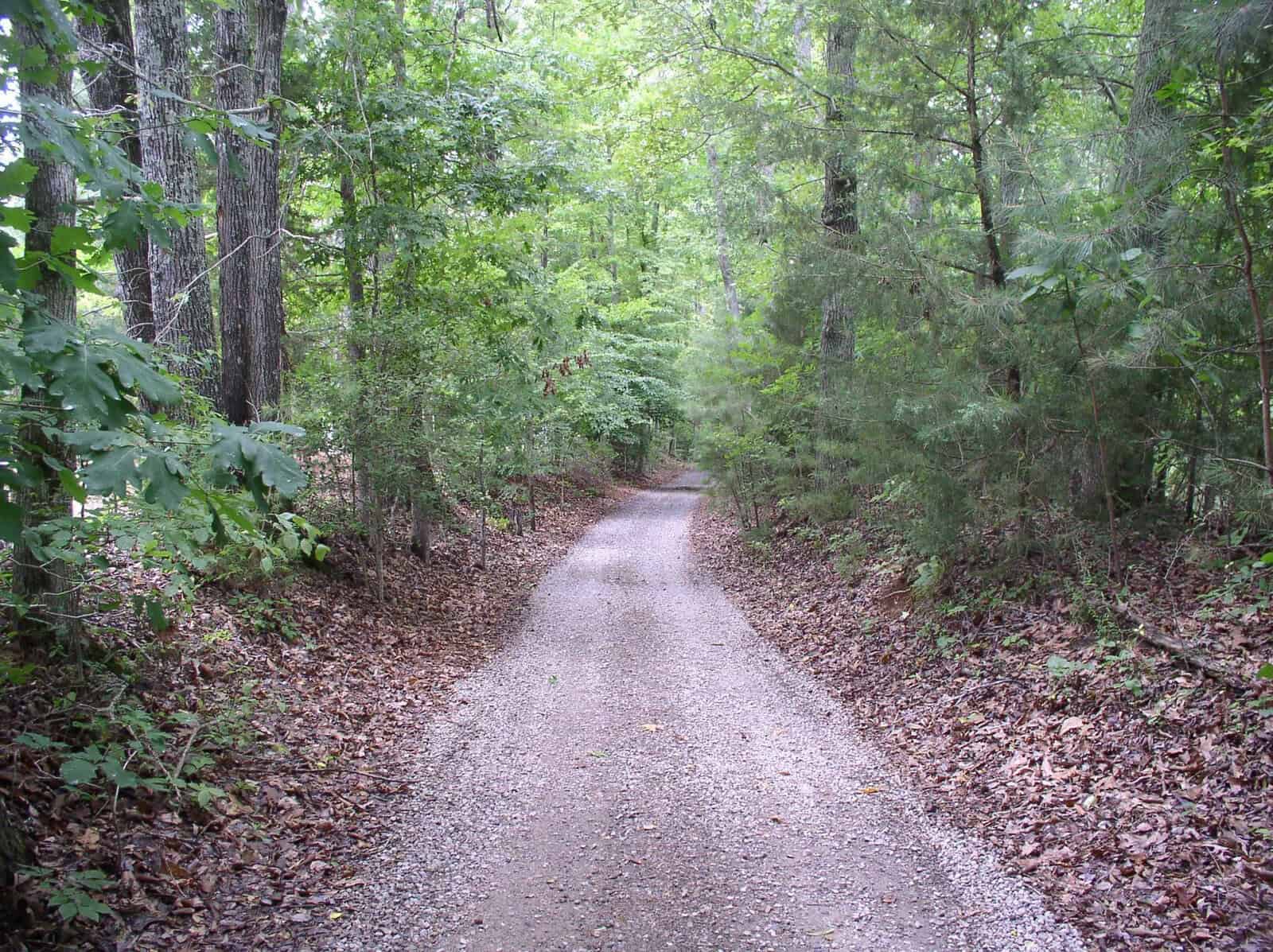 A gravel path leads through a densely wooded area with a variety of green trees and shrubs on either side.