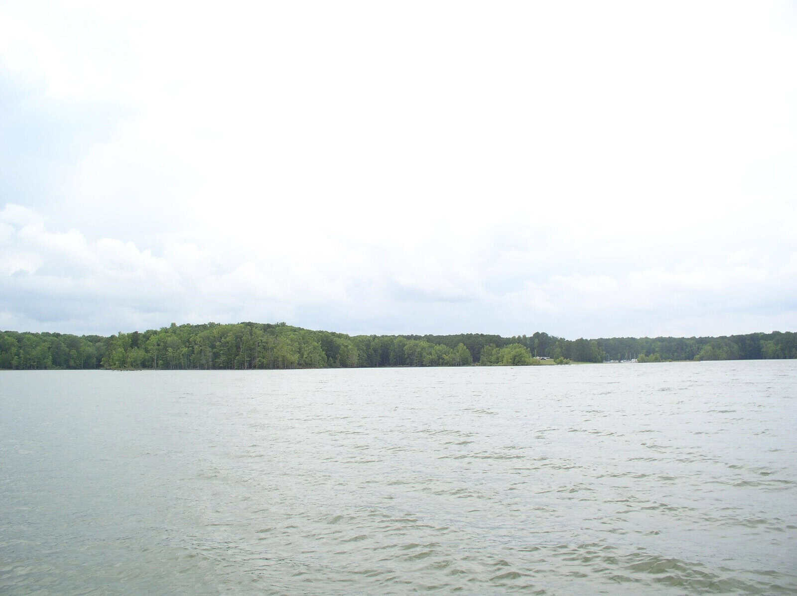 A serene lake with a tree-lined shore under a cloudy sky.