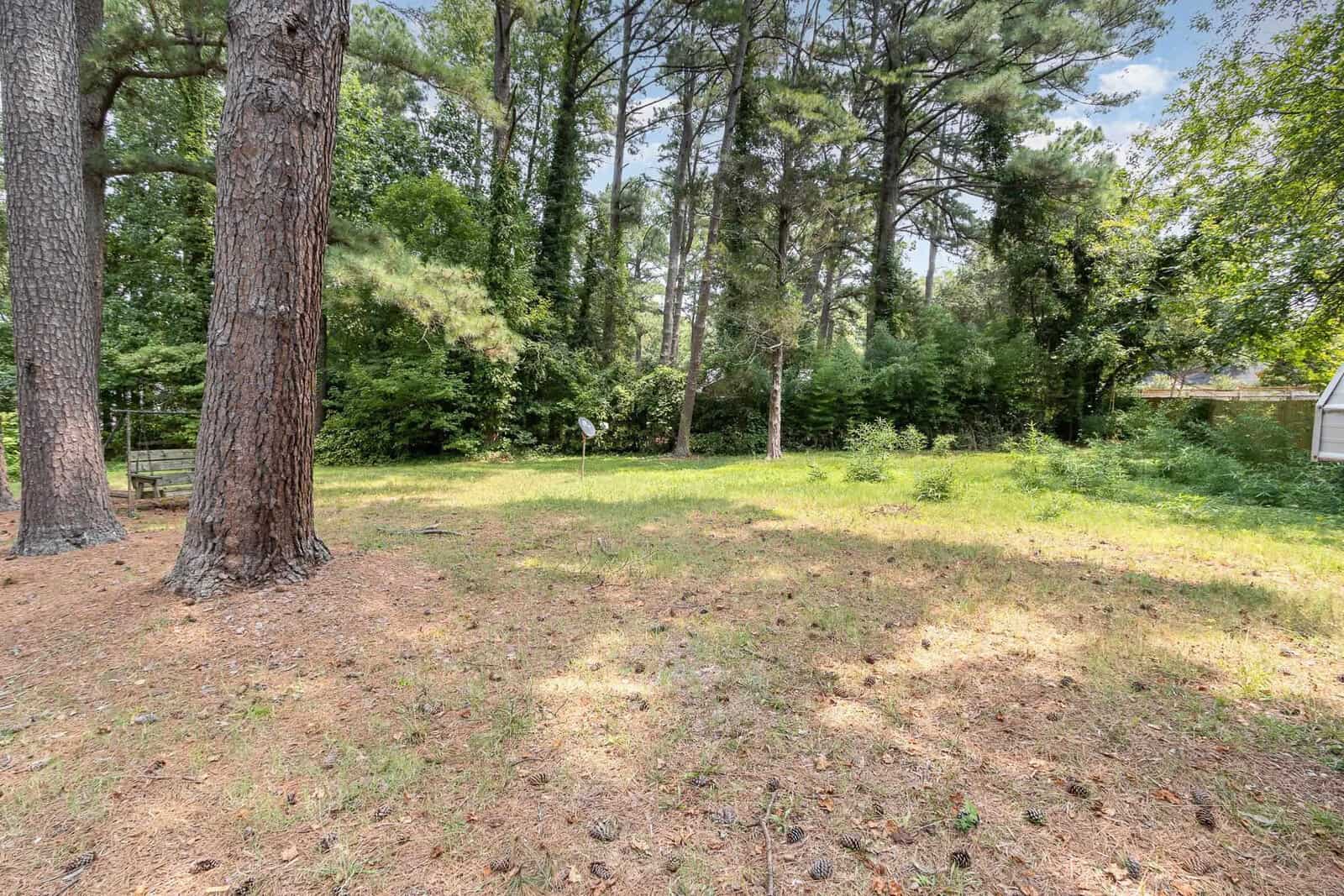 A spacious backyard with tall pine trees and a partially sunny lawn, bordered by a fence and neighboring structures.