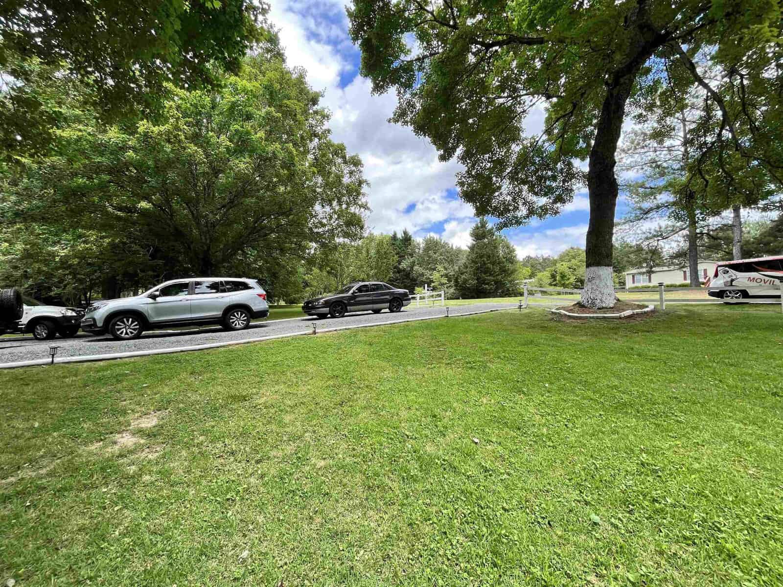 Cars parked along a curbed roadside in a green park under a partly cloudy sky.
