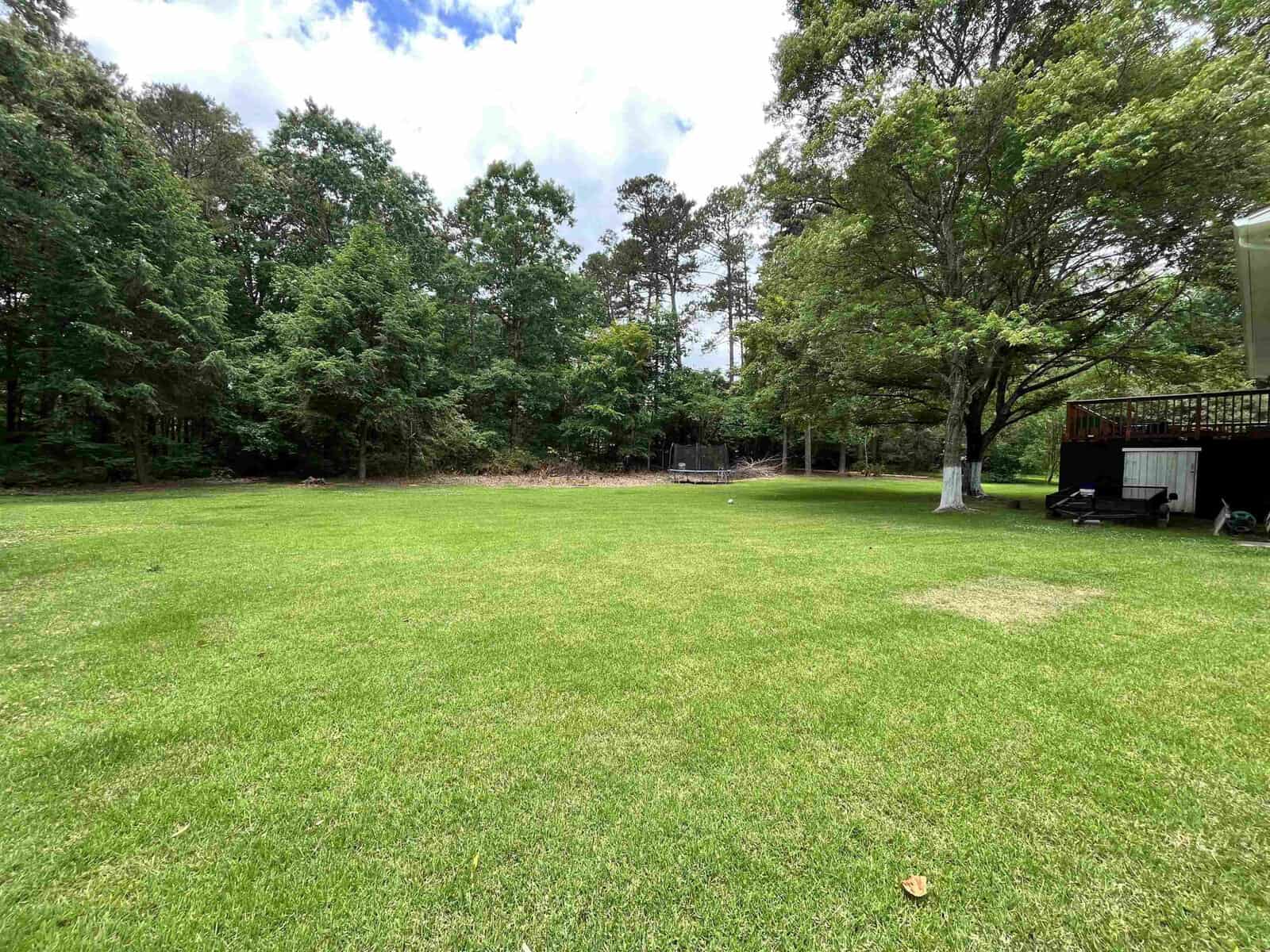 A spacious backyard with a well-maintained lawn bordered by trees on a sunny day.