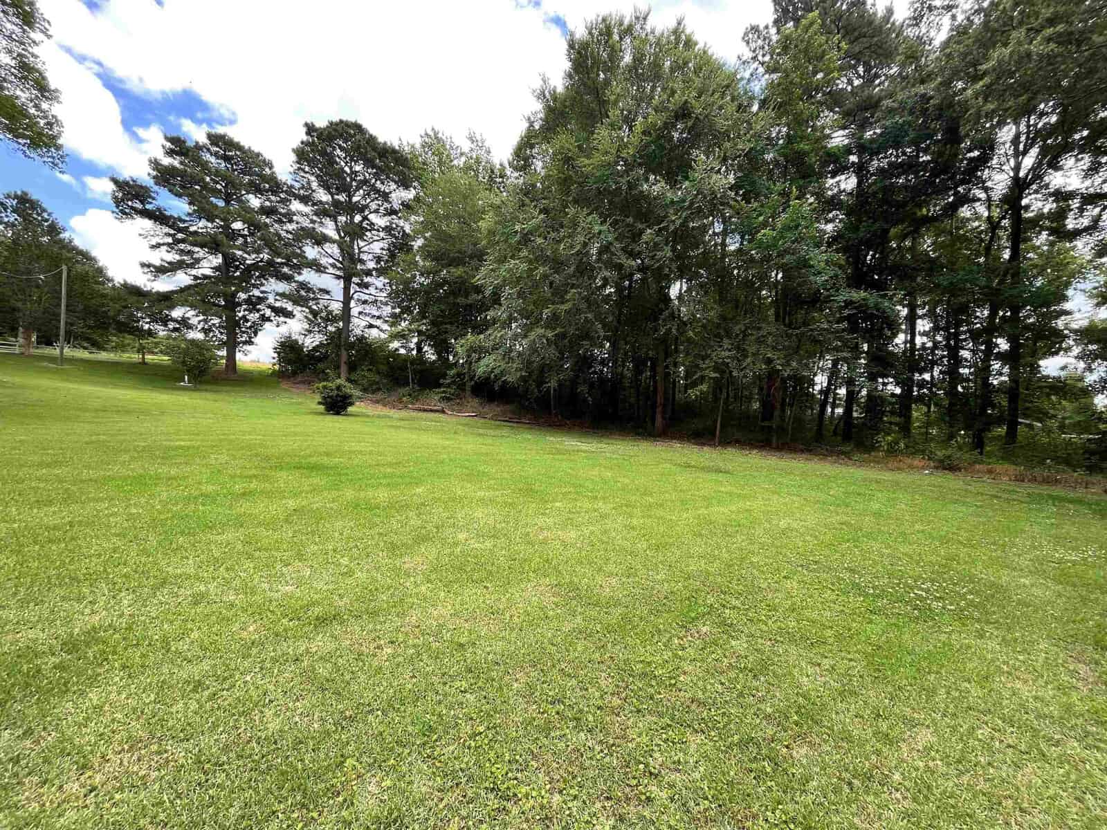 A lush green lawn with a variety of trees at the edges, under a partly cloudy sky.