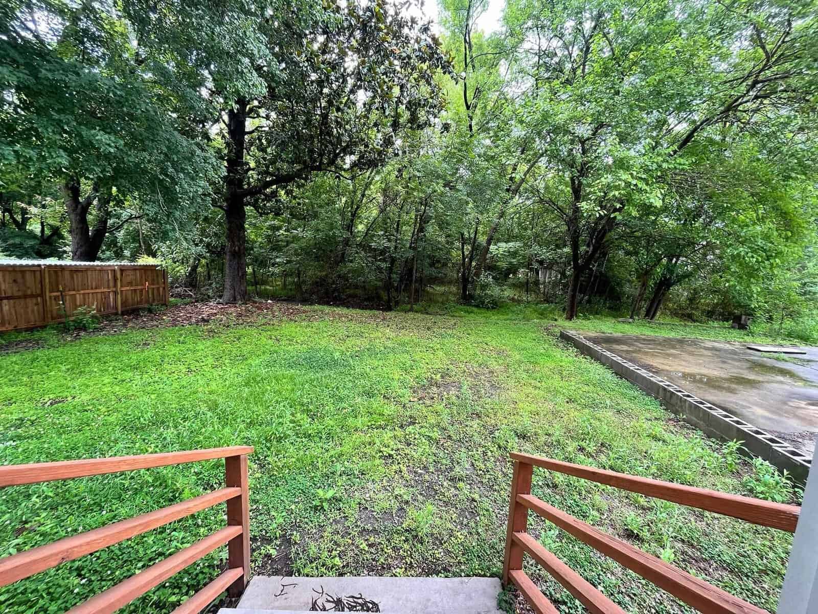 A lush green backyard with a variety of trees and shrubs as viewed from a wooden staircase. a concrete path is visible on the right.