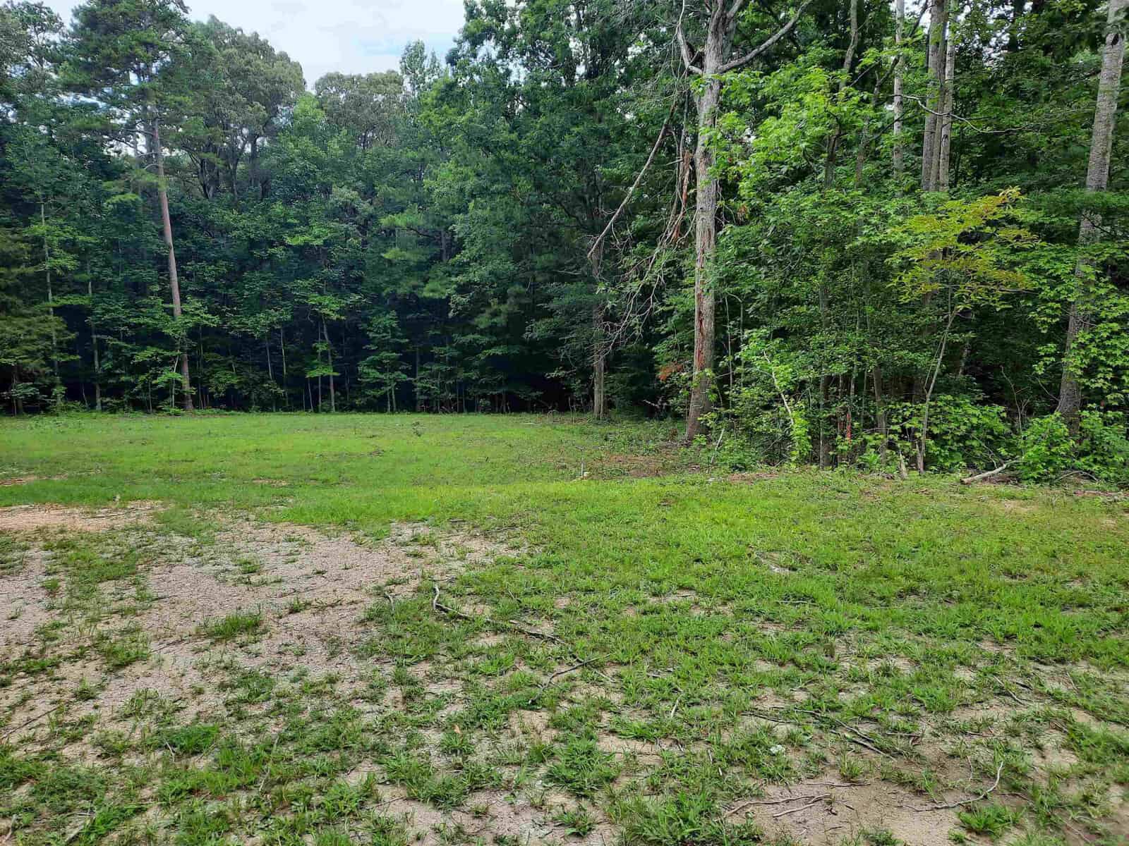 A grassy clearing at the edge of a forest with trees in the background and a partial view of a bare dirt path on the left.