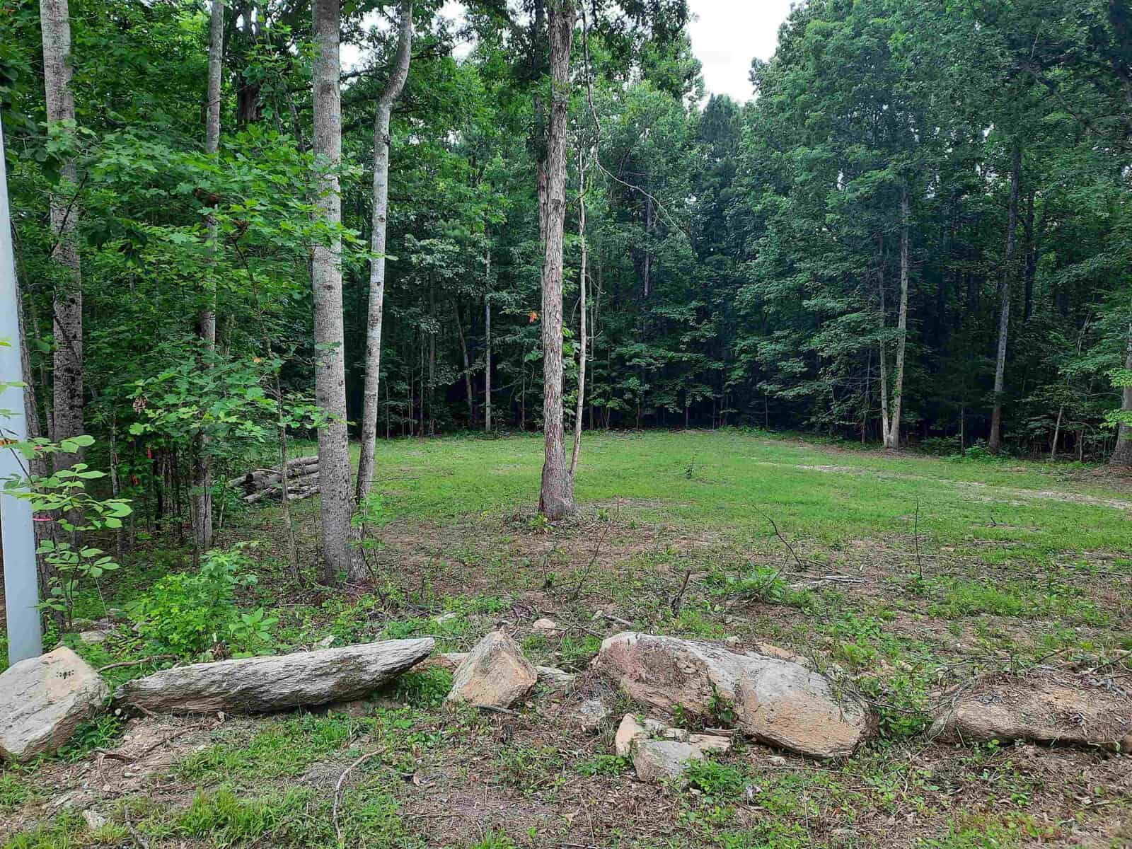 A grassy clearing surrounded by a variety of trees with several large rocks in the foreground.