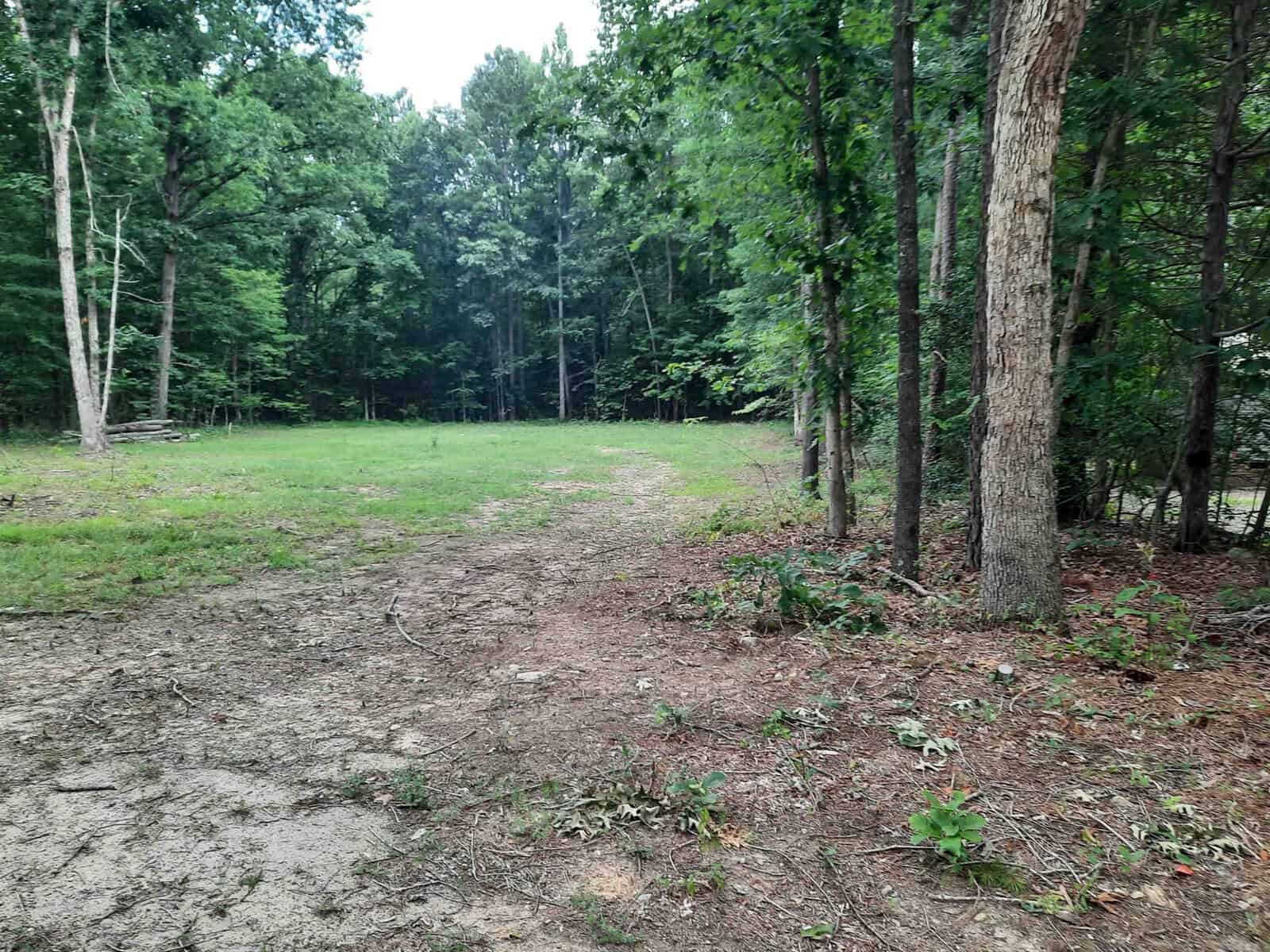 A forest clearing with a path leading across a patch of grass, surrounded by trees with a mix of greenery and fallen branches on the ground.