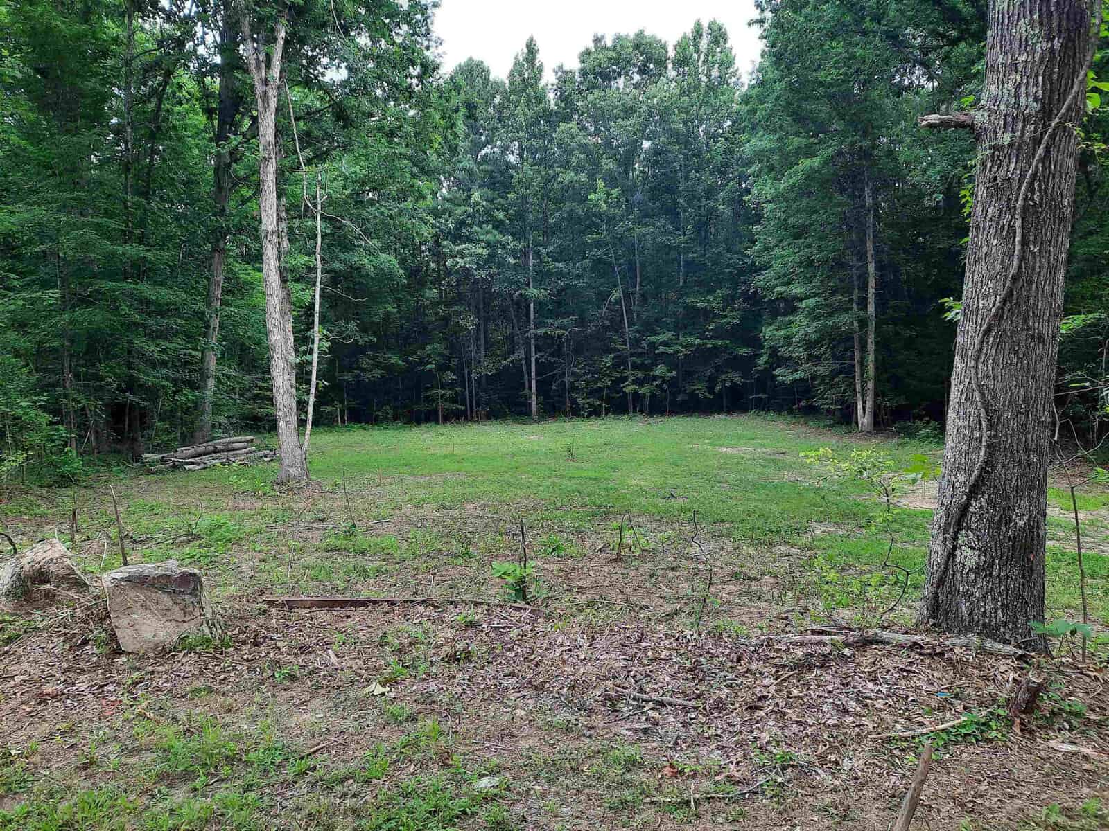 A clearing in a forest with green grass and trees under a cloudy sky.