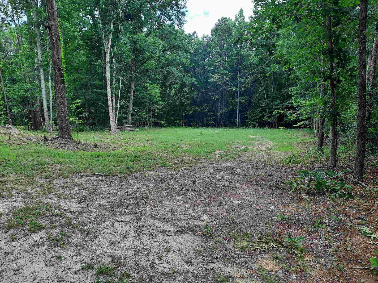 A clearing in a forest with a dirt path leading towards a grassy area, surrounded by trees.