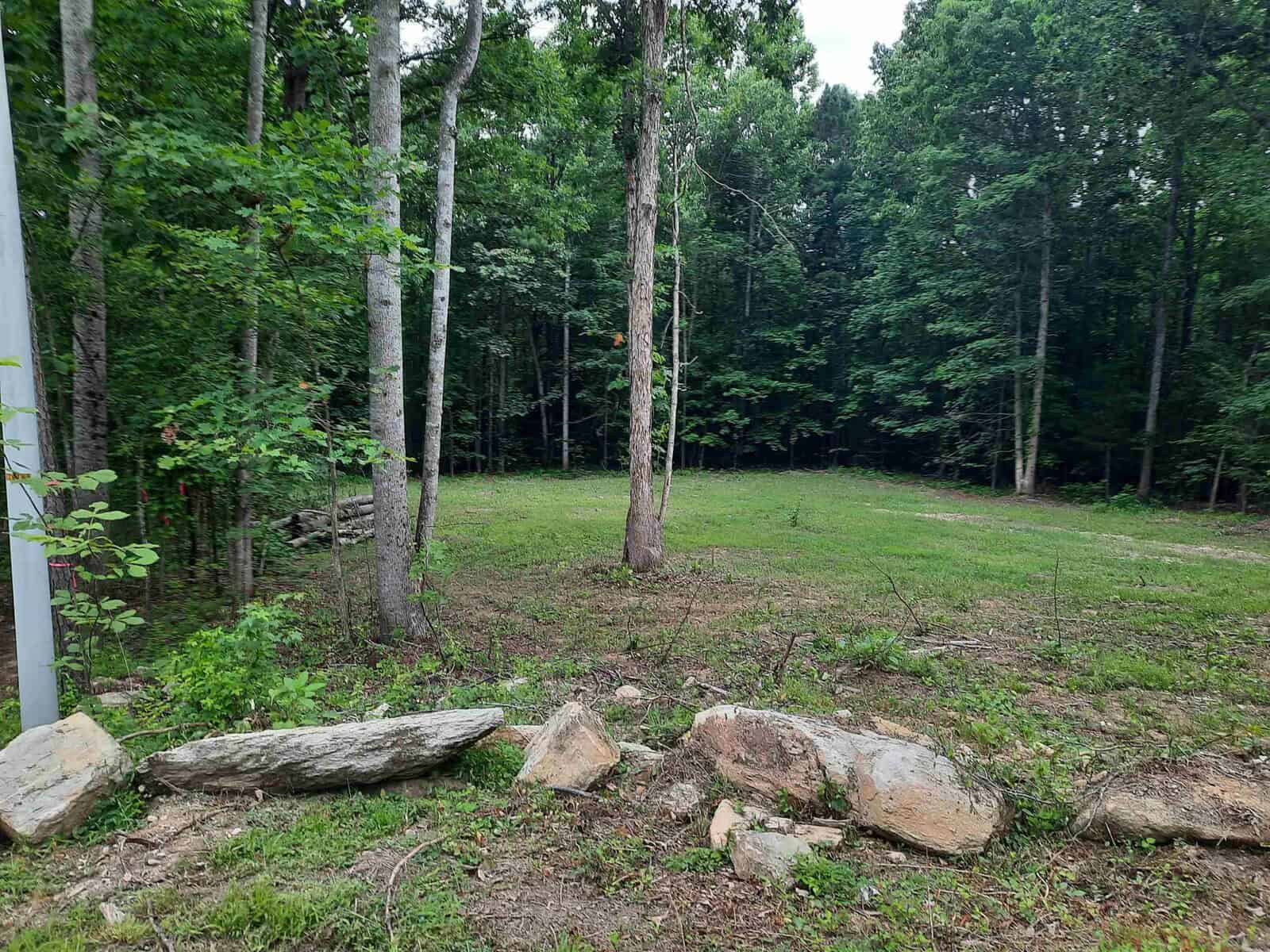 A view of a grassy clearing surrounded by trees with some rocks in the foreground.